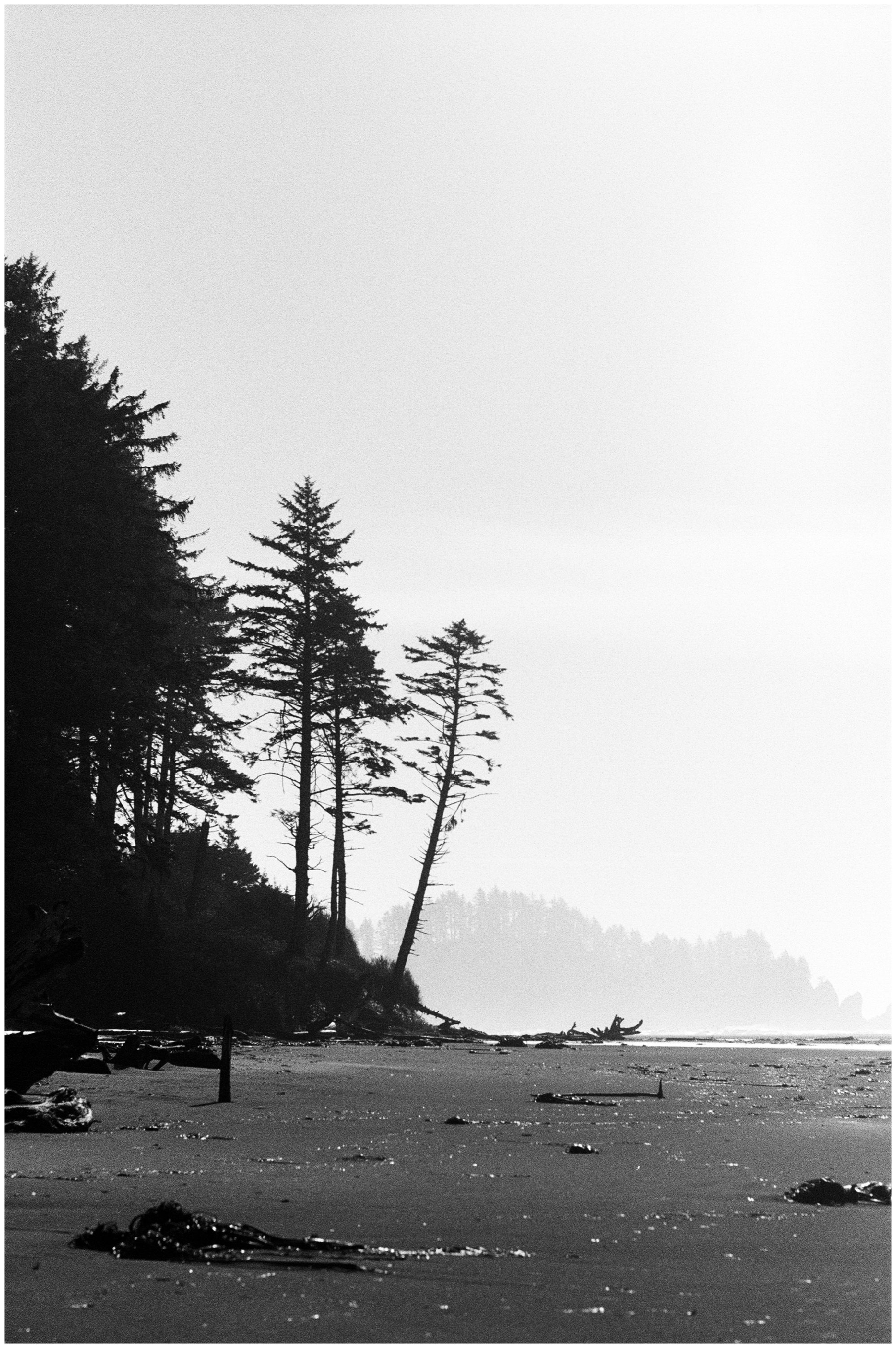 Second Beach Olympic National Park Photographer-12.jpg