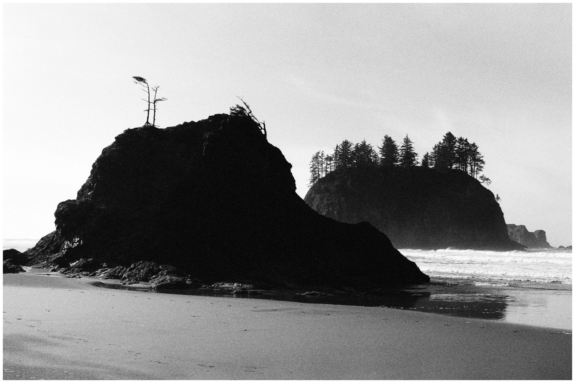 Second Beach Olympic National Park Photographer-36.jpg