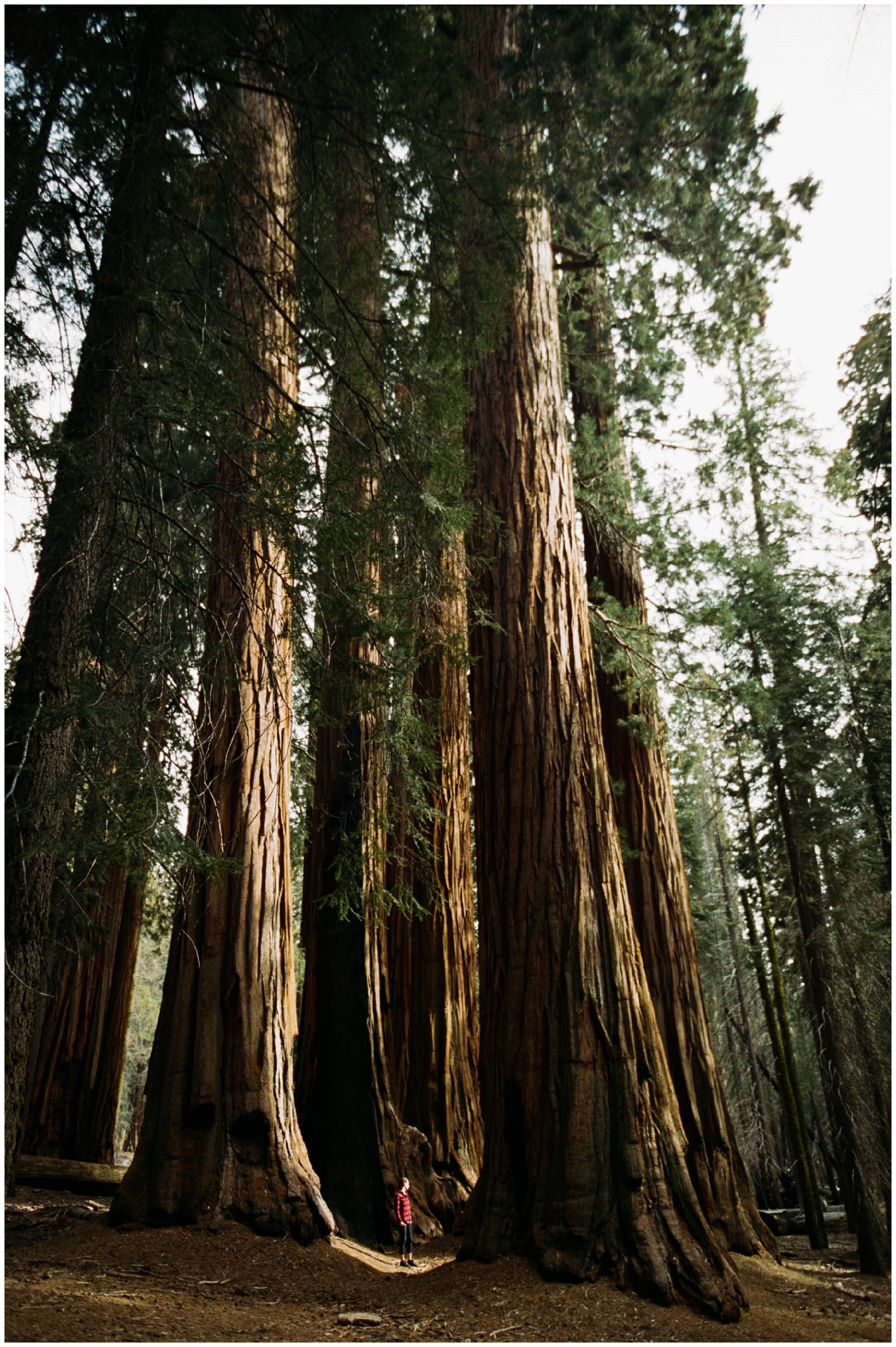 Rocky Mountain National Park 35mm Film Photographer