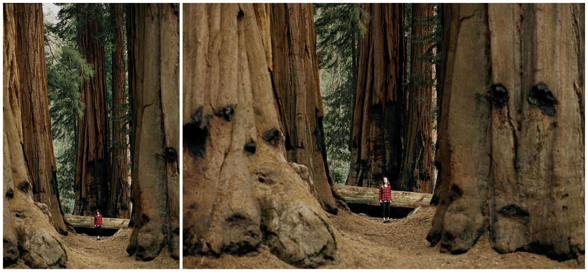 Rocky Mountain National Park 35mm Film Photographer