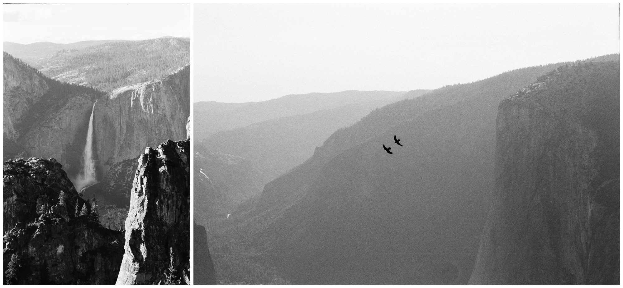 Yosemite National Park 35mm Film Photographer-47.jpg Yosemite National Park 35mm Film Photographer-47.jpg