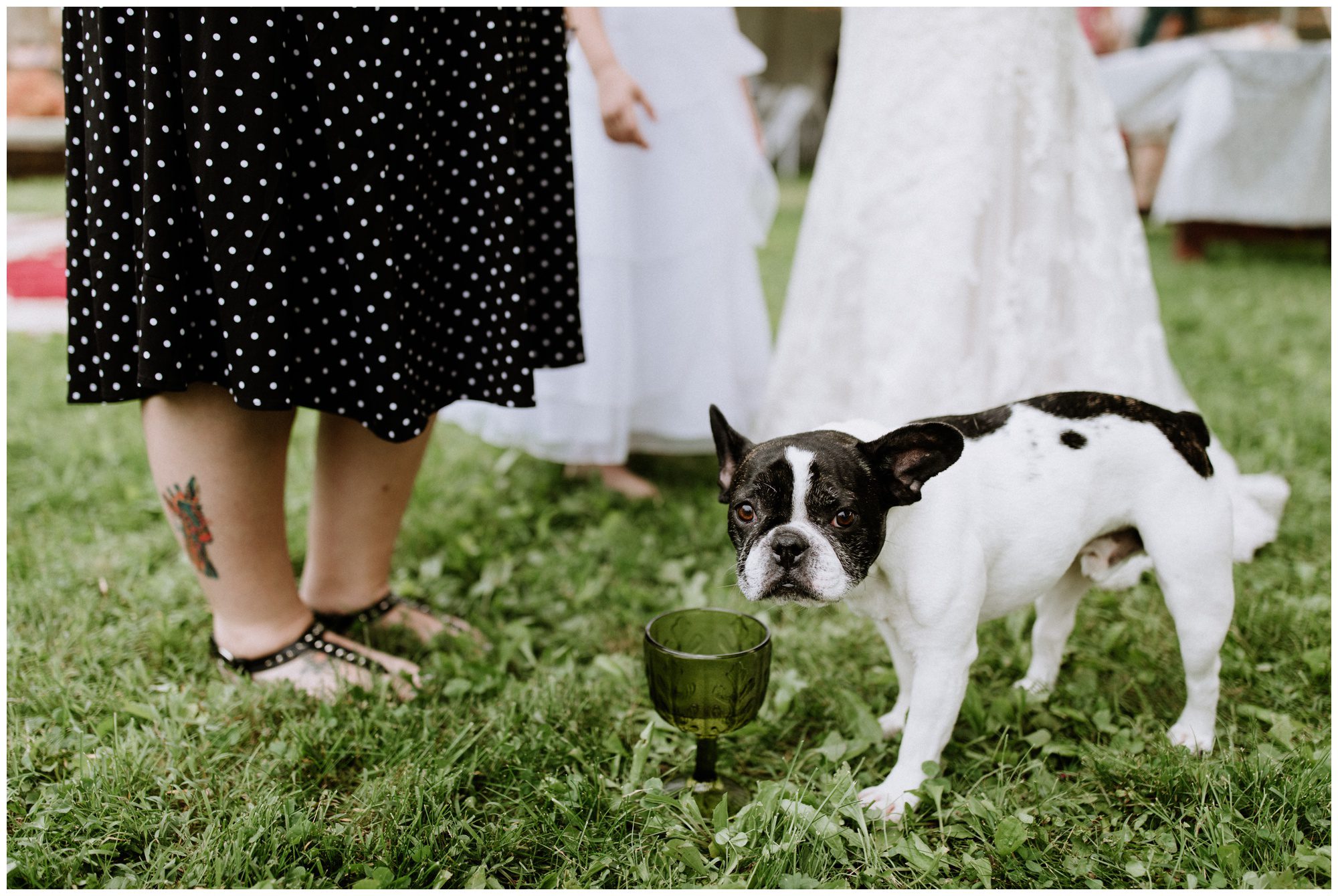 Baltimore Intimate Wedding, Micro Wedding Photographer, Baltimore Wedding Photographer, Baltimore Elopement Photographer