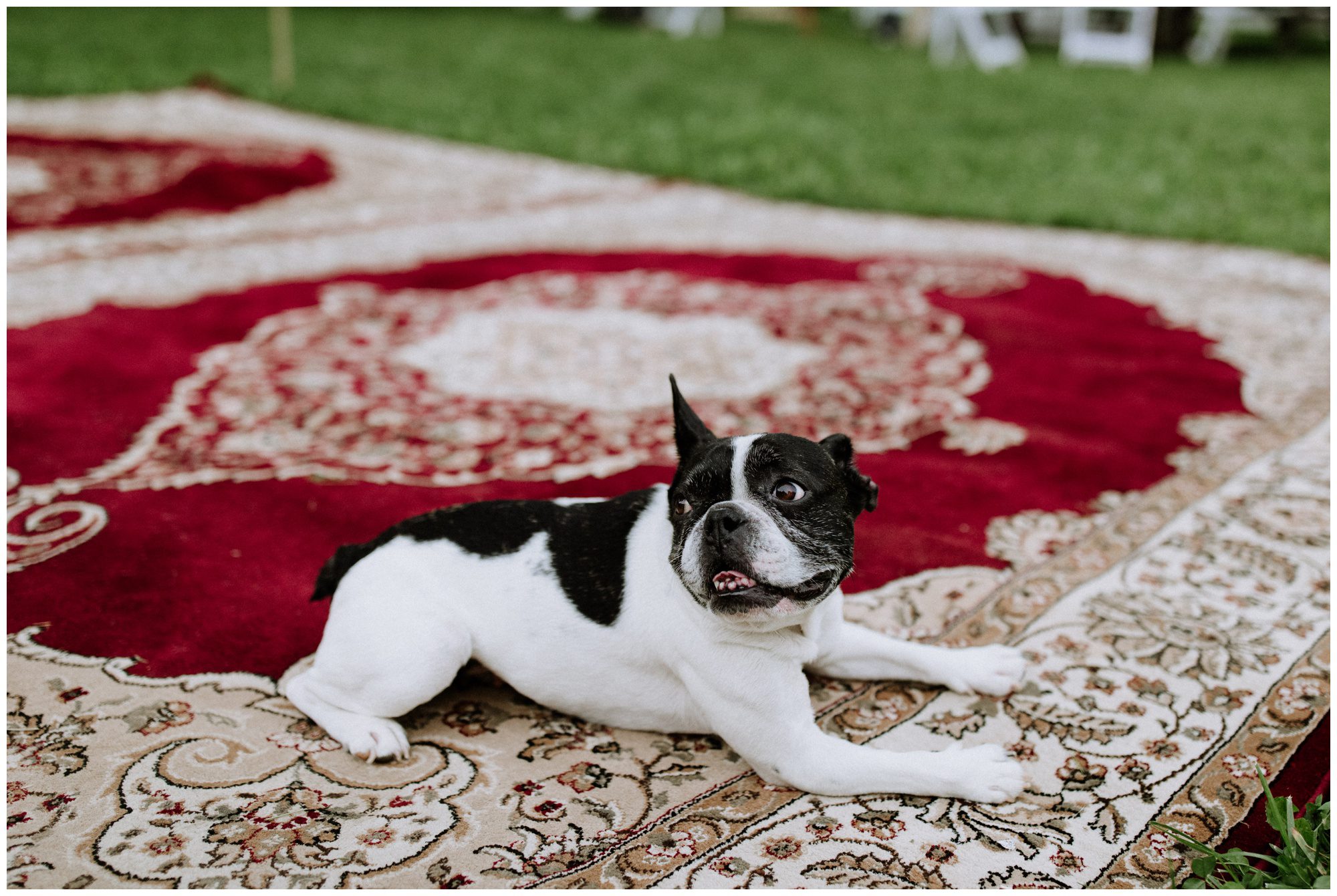 Baltimore Intimate Wedding, Micro Wedding Photographer, Baltimore Wedding Photographer, Baltimore Elopement Photographer