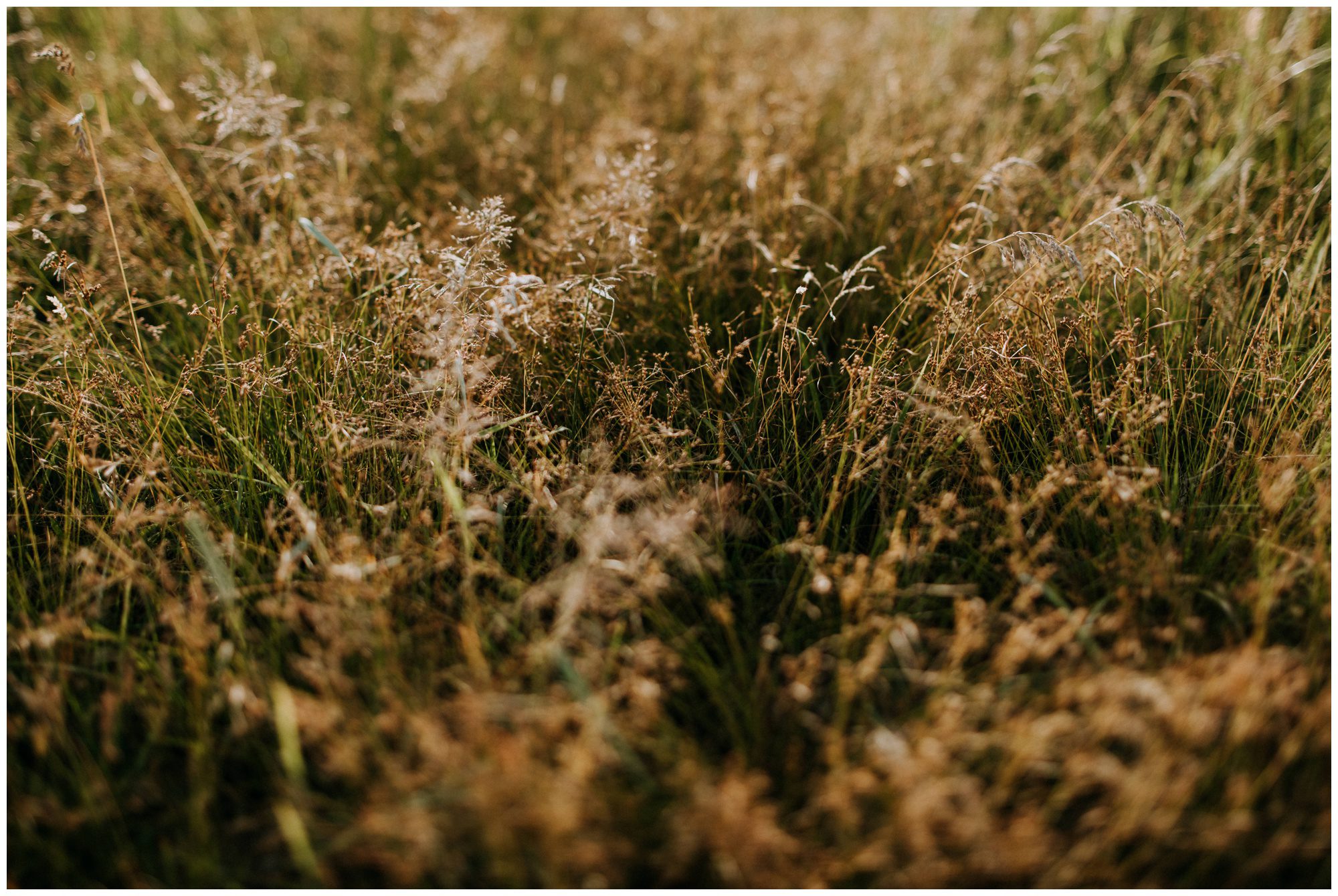 Gettysburg Engagement Photographer, Gettysburg Elopement Photographer, Gettysburg PA Wedding Photographer