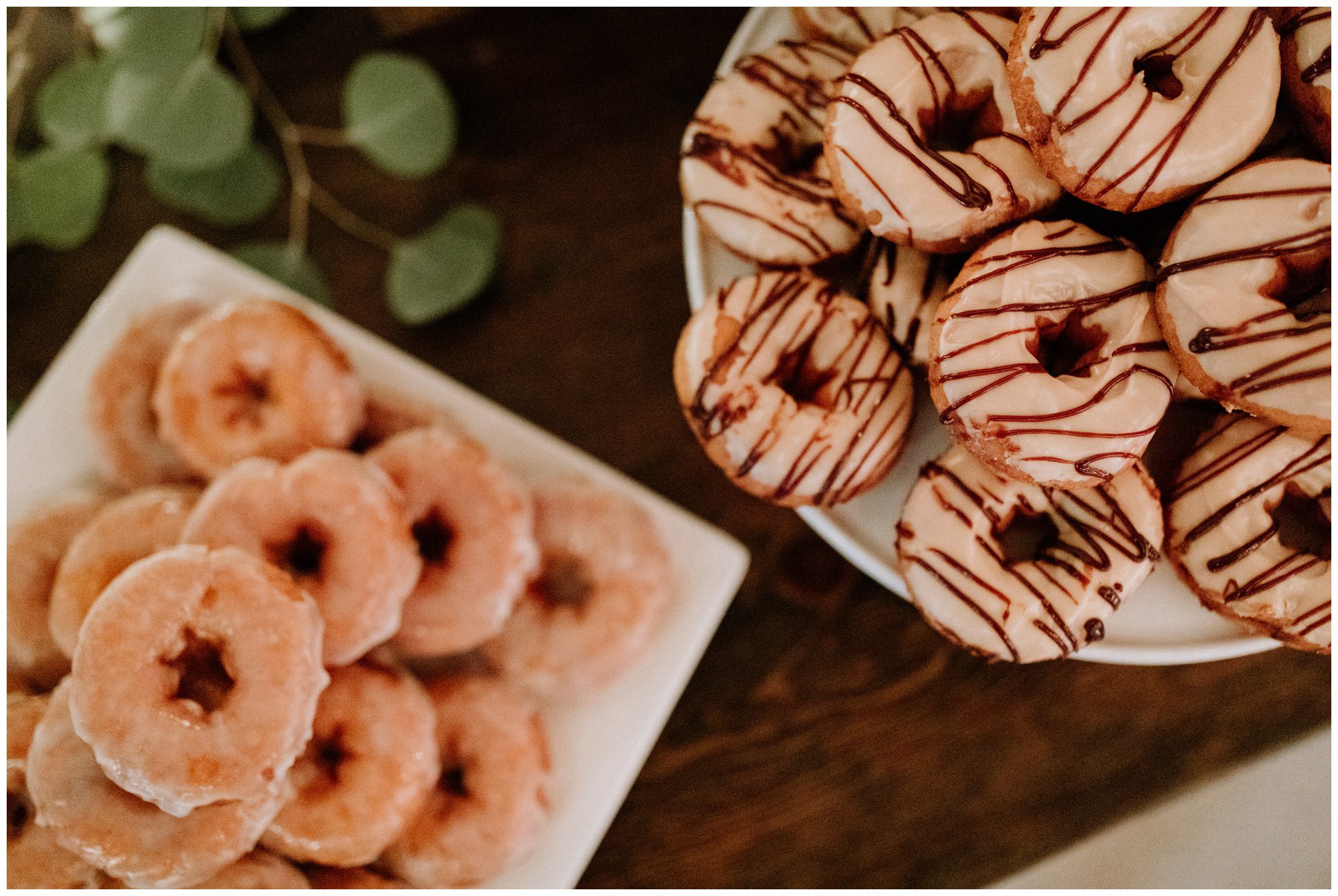 General Potter Farm Wedding, Pennsylvania Elopement Photographer, Philadelphia Elopement Photographer