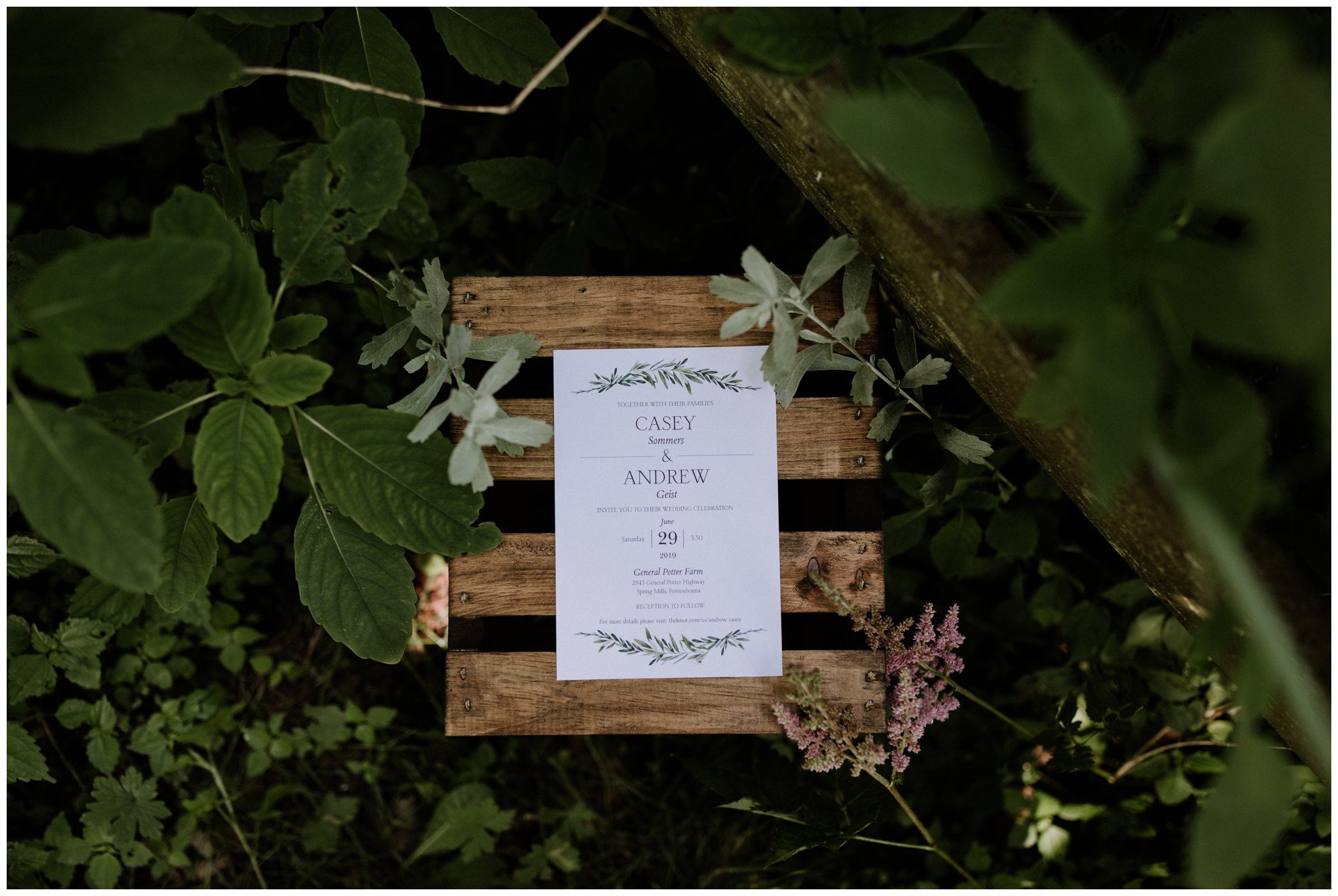 General Potter Farm Wedding, Pennsylvania Elopement Photographer, Philadelphia Elopement Photographer