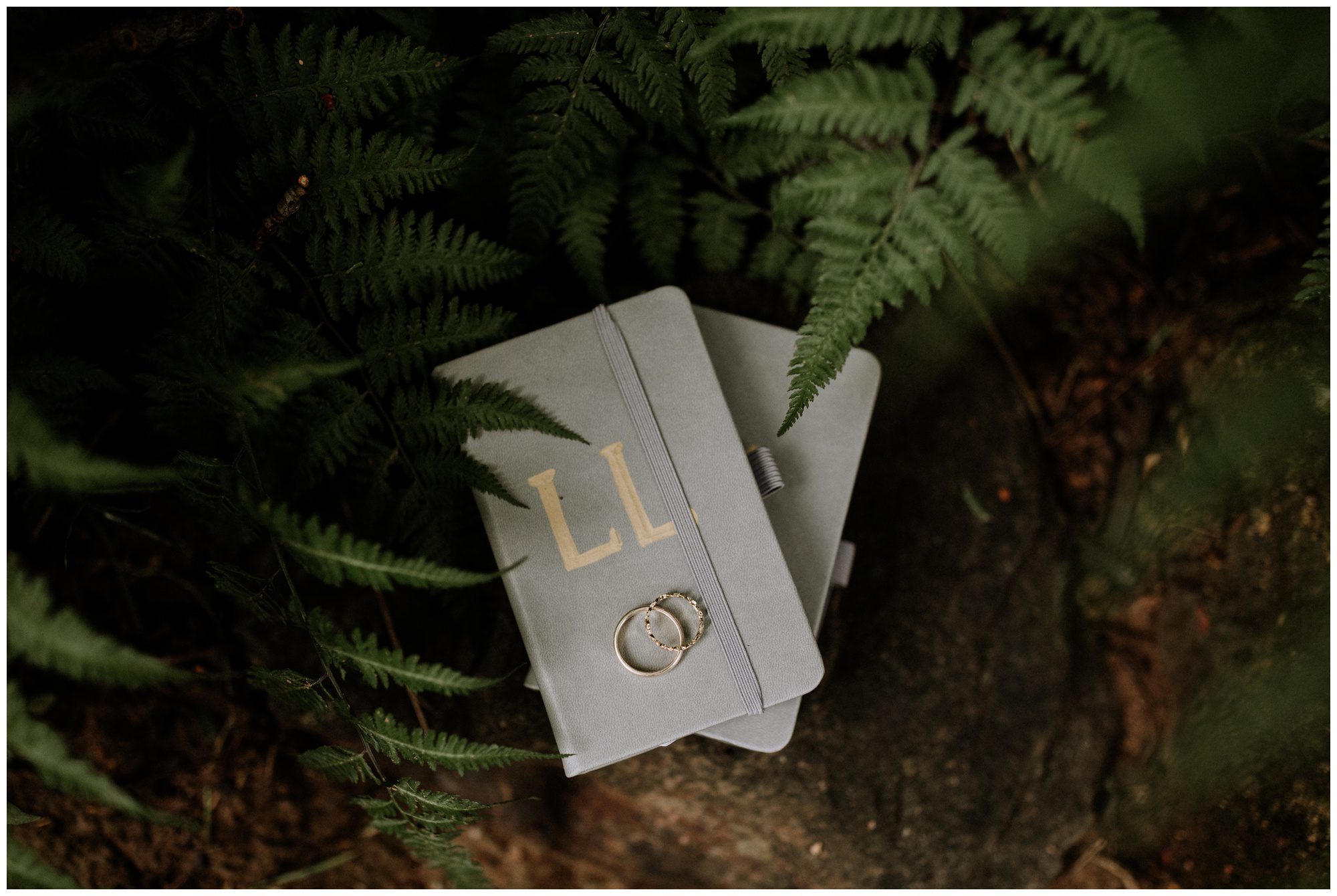 Philadelphia Wedding Photographer, Philadelphia Elopement Photographer, Philadelphia Intimate Wedding