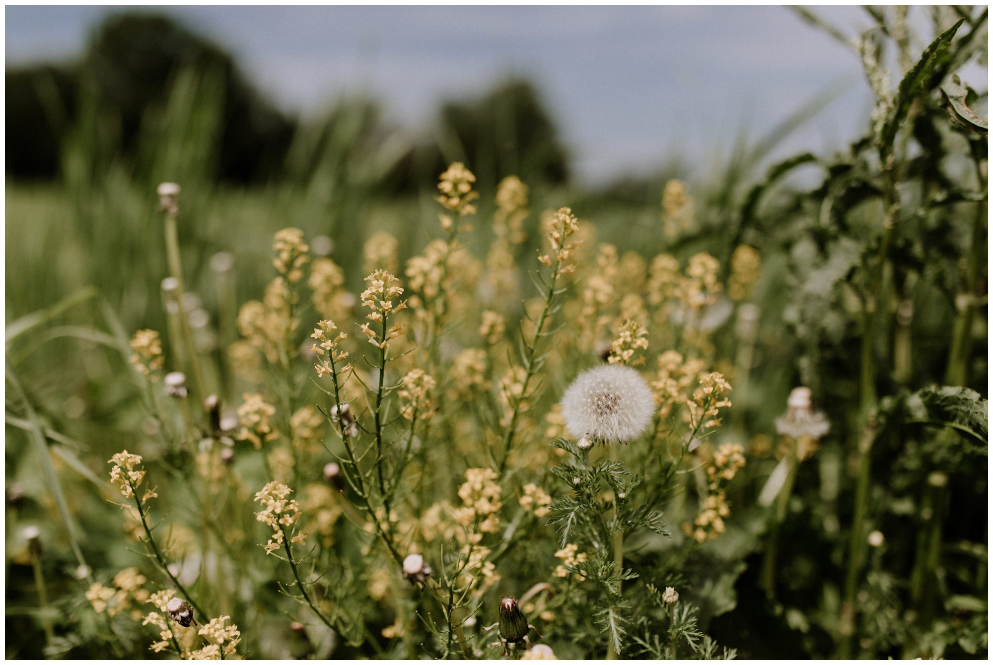 The North Farm Wedding, Geneva Lake Wedding, Finger Lakes Wedding Photographer, New York Wedding Photographer
