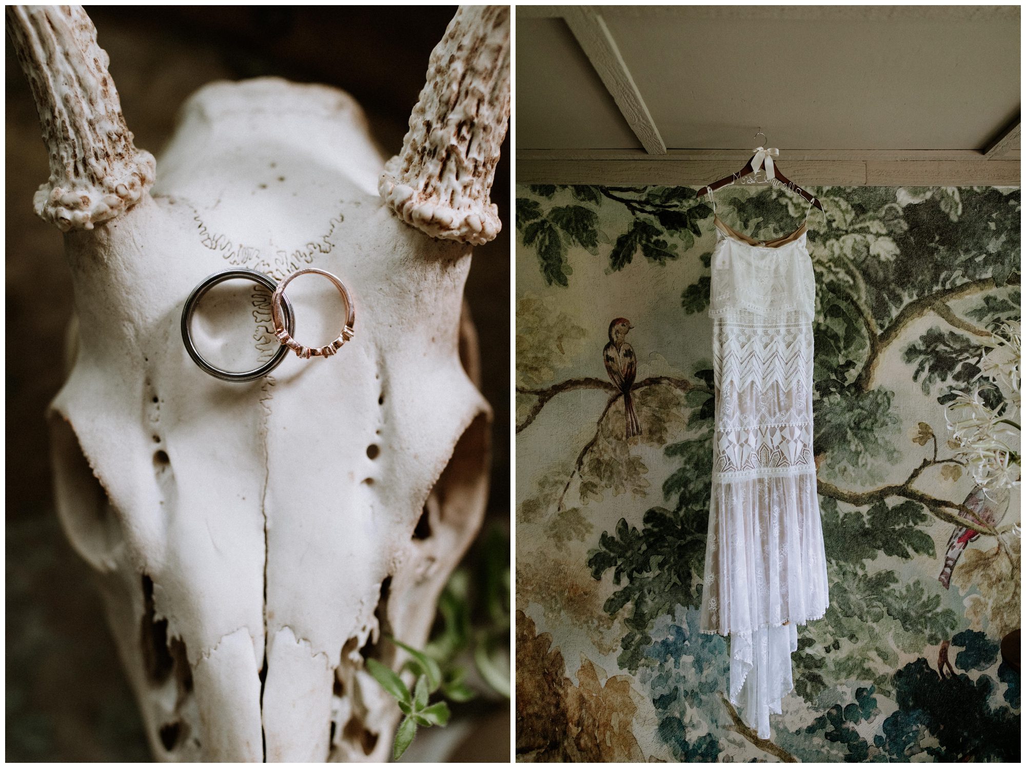 Promise Ridge Elopement, Pennsylvania Elopement Photographer, Destination Elopement Photographer