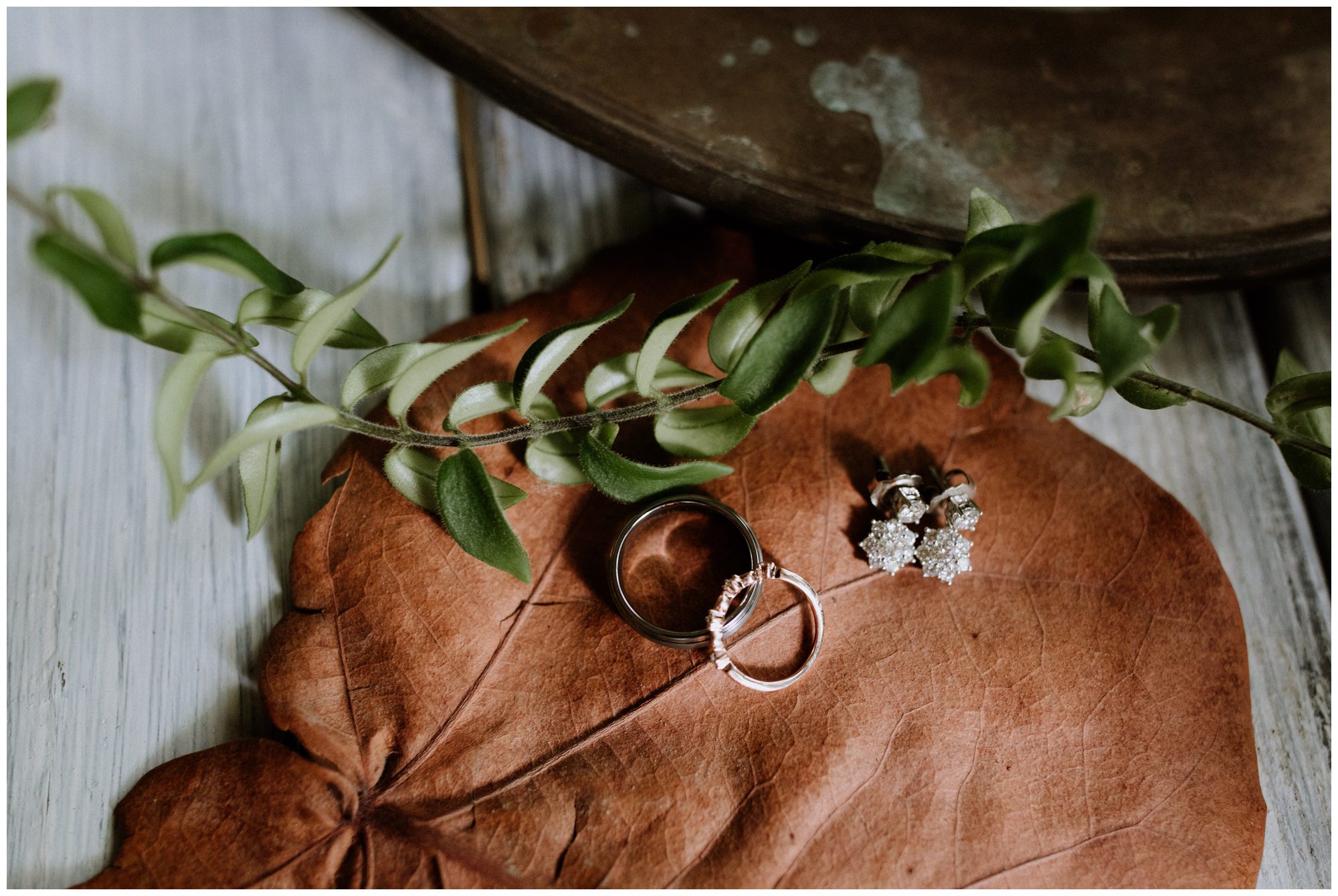 Promise Ridge Elopement, Pennsylvania Elopement Photographer, Destination Elopement Photographer