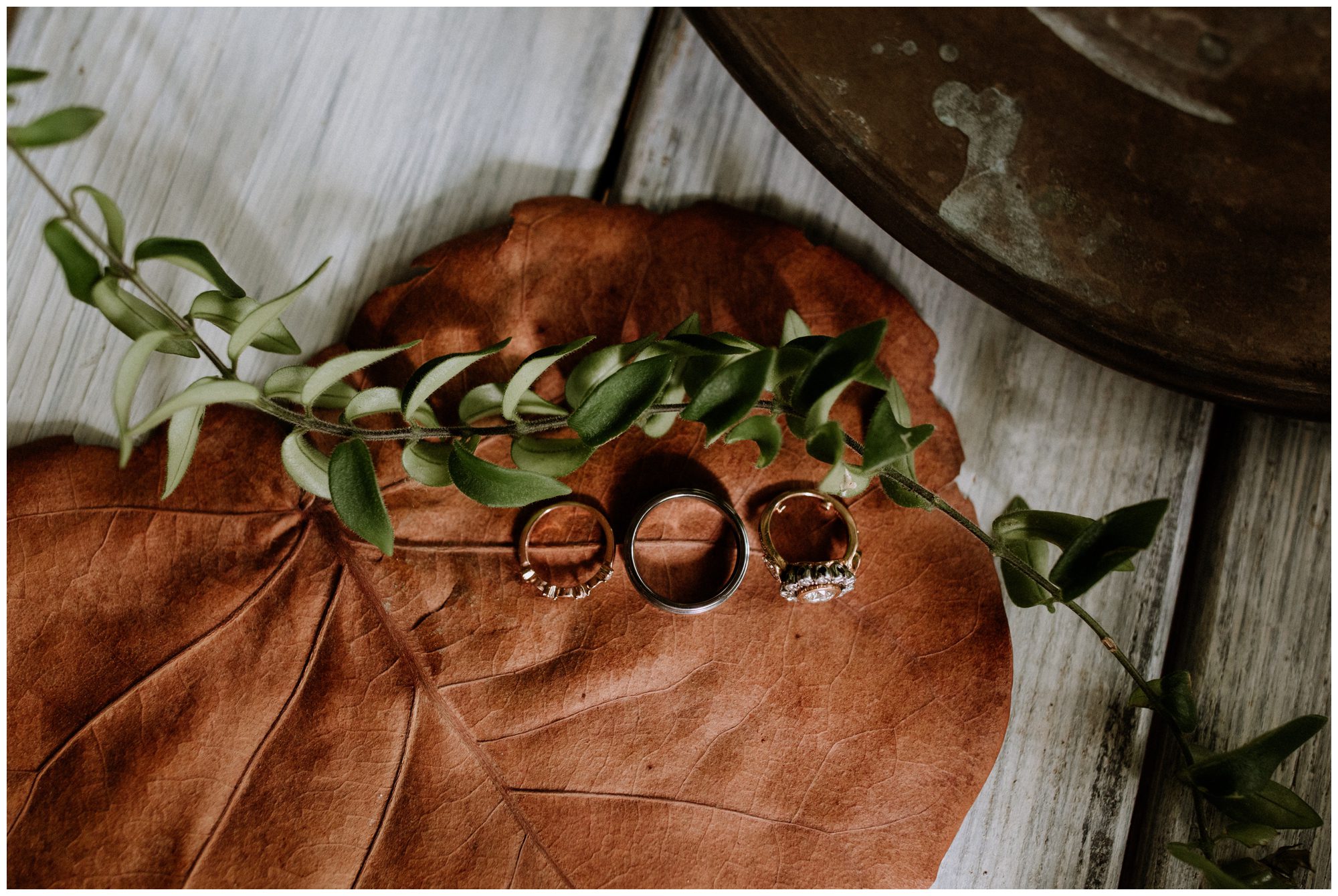 Promise Ridge Elopement, Pennsylvania Elopement Photographer, Destination Elopement Photographer