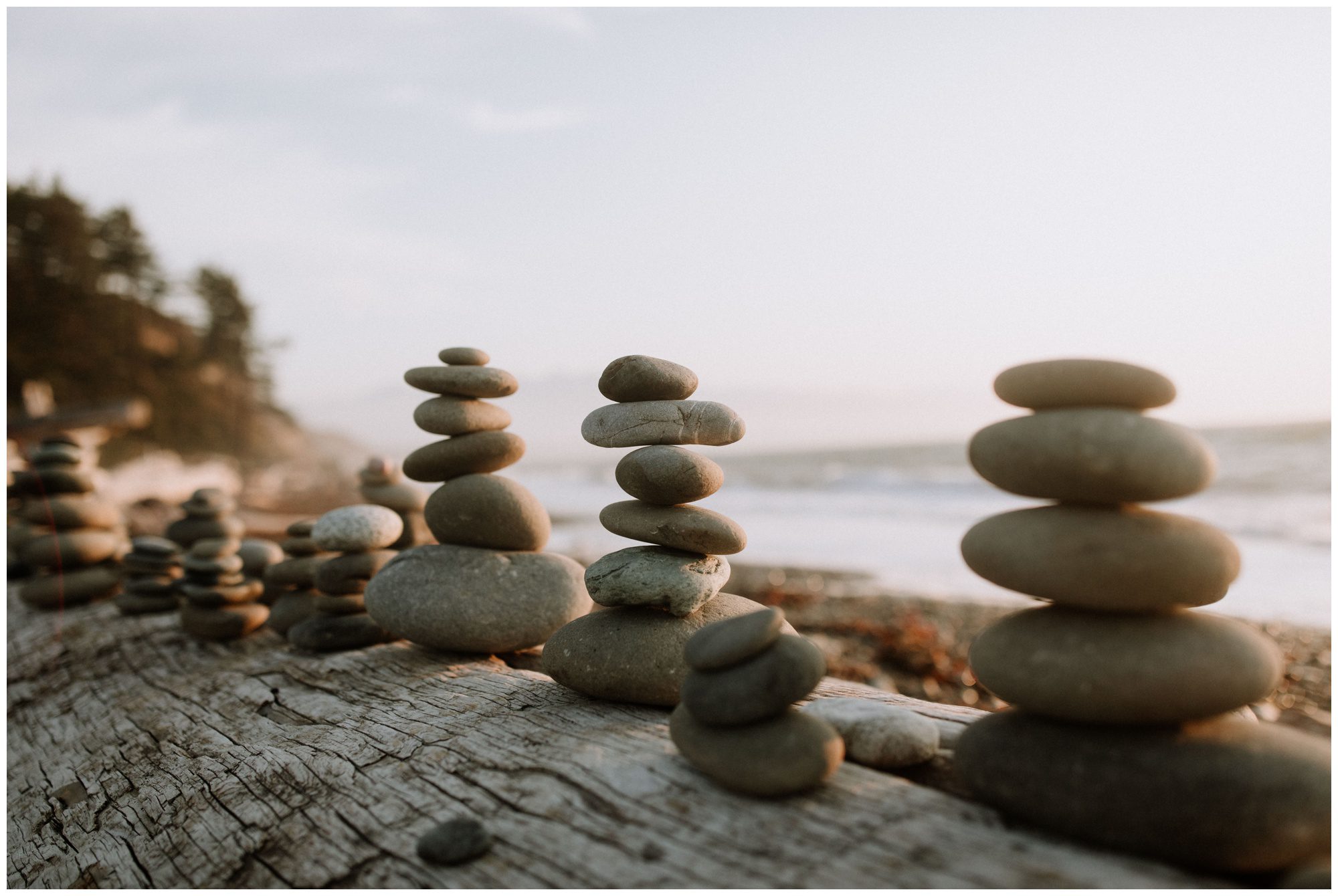 Anniversary Photos-102.jpg Anniversary Photos-102.jpg