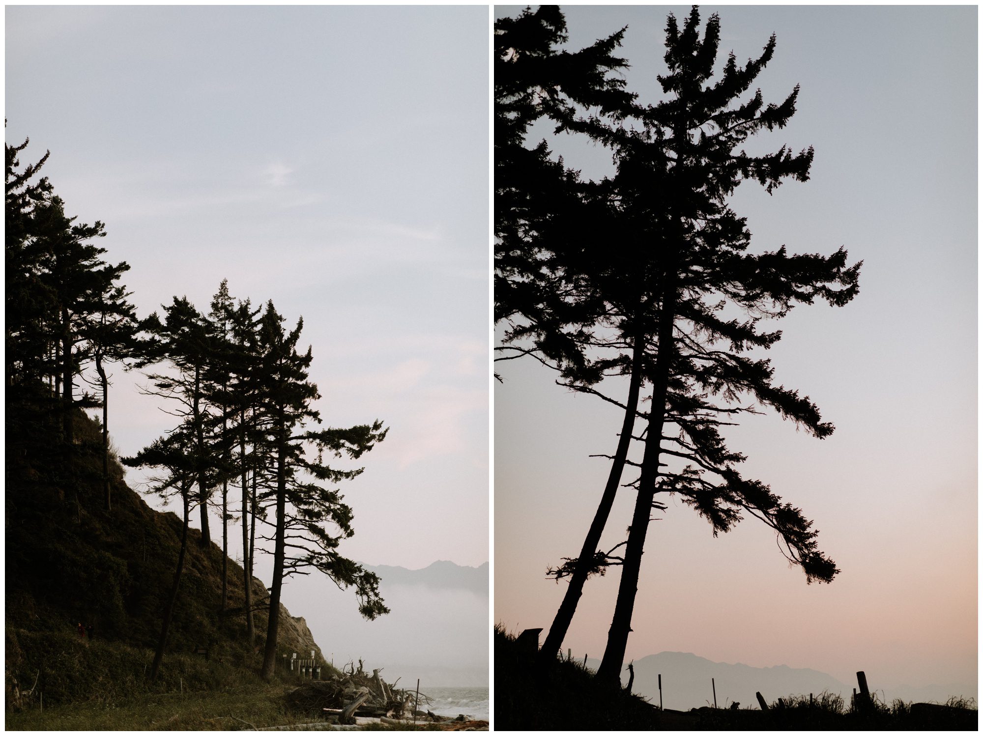 Anniversary Photos-149.jpg Anniversary Photos-149.jpg