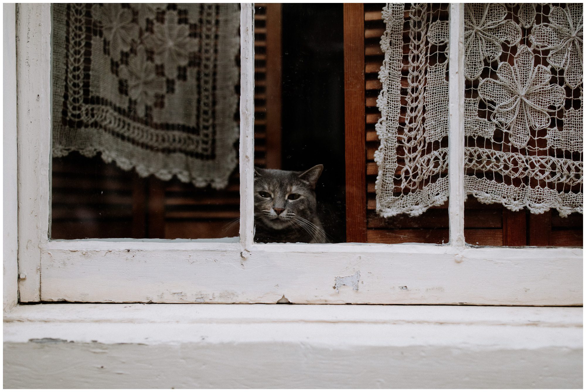Philadelphia Engagement Photographer, Philadelphia Elopement Photographer, Old City Philadelphia Engagement
