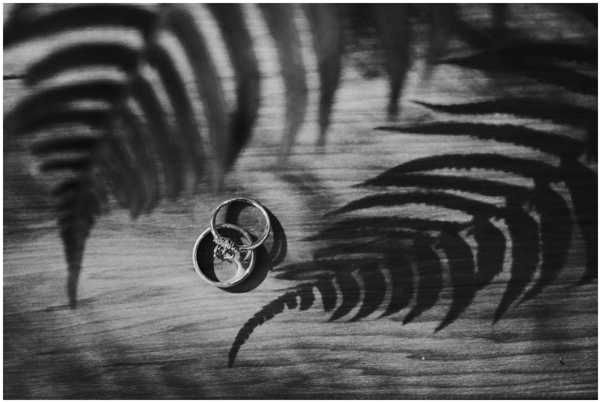 Bainbridge Island Wedding Photographer, Seattle Wedding Photographer