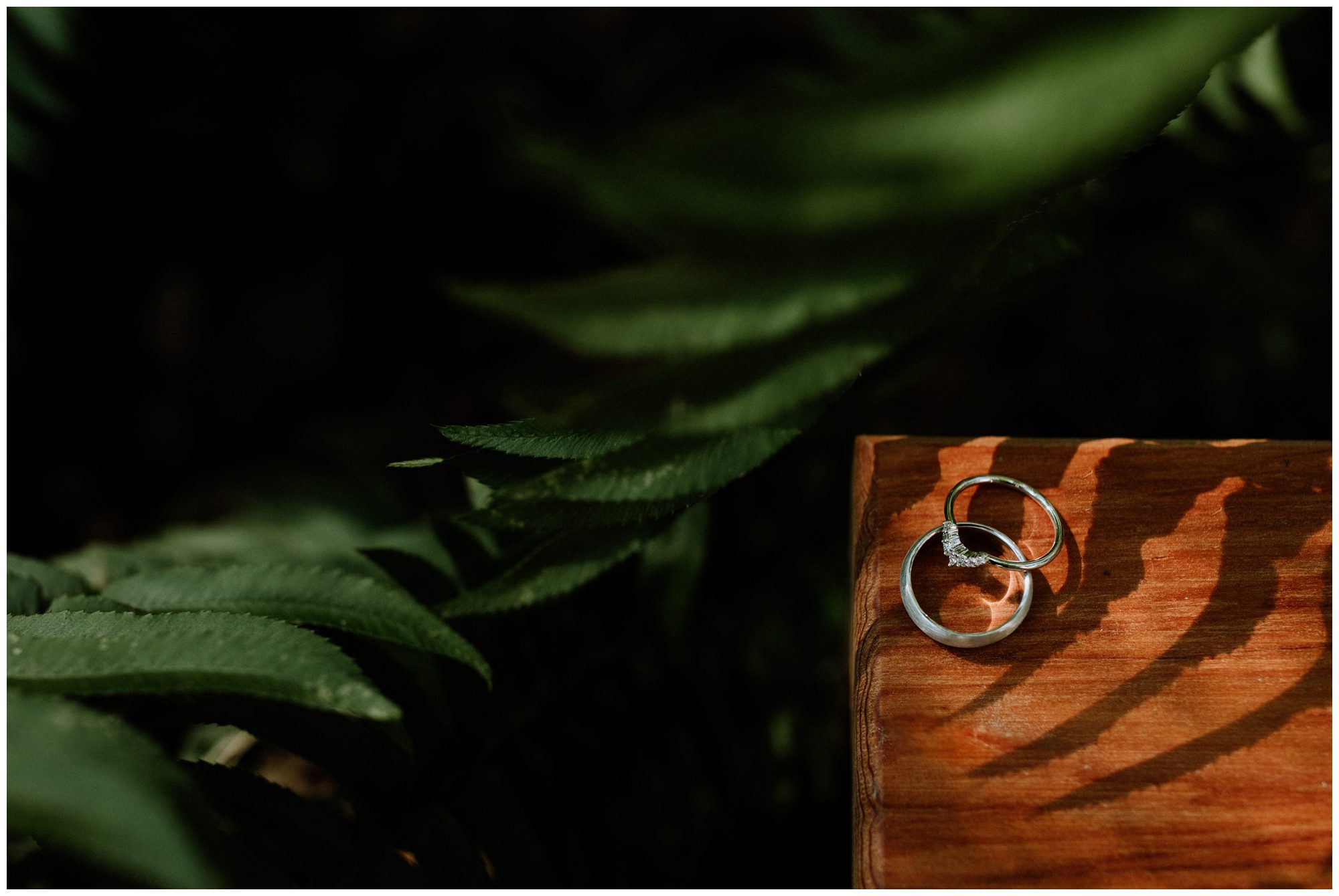 Bainbridge Island Wedding Photographer, Seattle Wedding Photographer