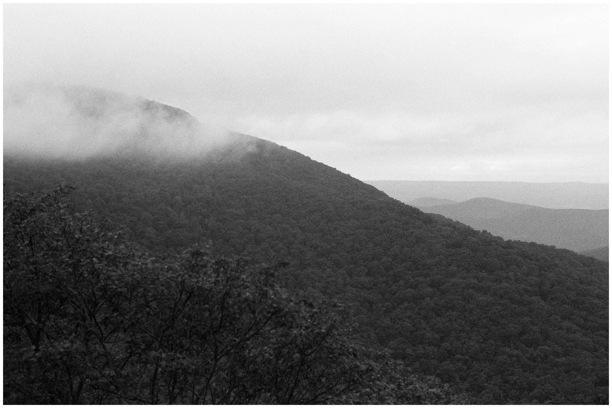 Shenandoah National Park Engagement Photographer Shenandoah Elopement Photographer