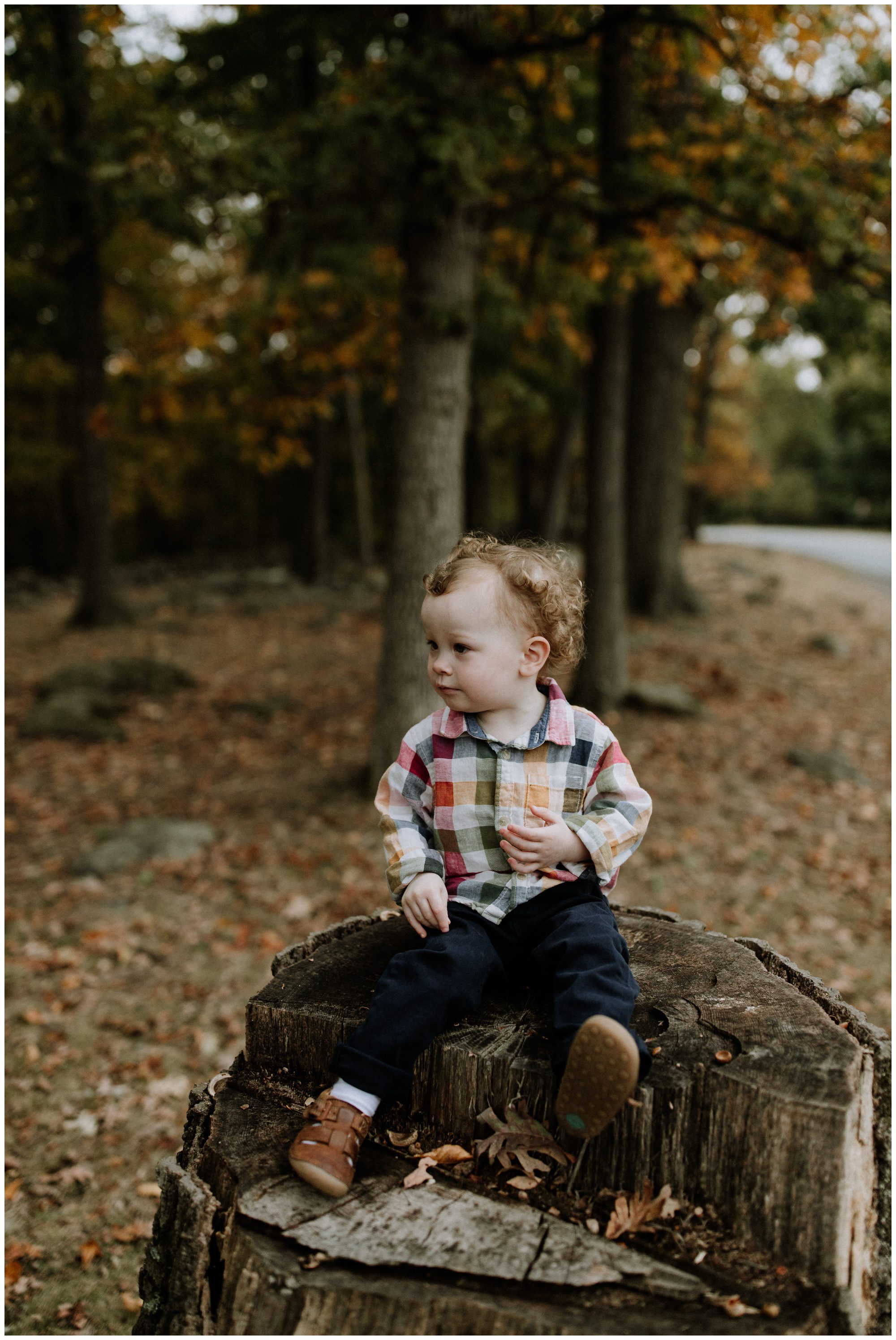 Gettysburg Pennsylvania Wedding Photographer, Gettysburg Elopement Photographer, Gettysburg Engagement Photographer, Gettysburg PA Photographer
