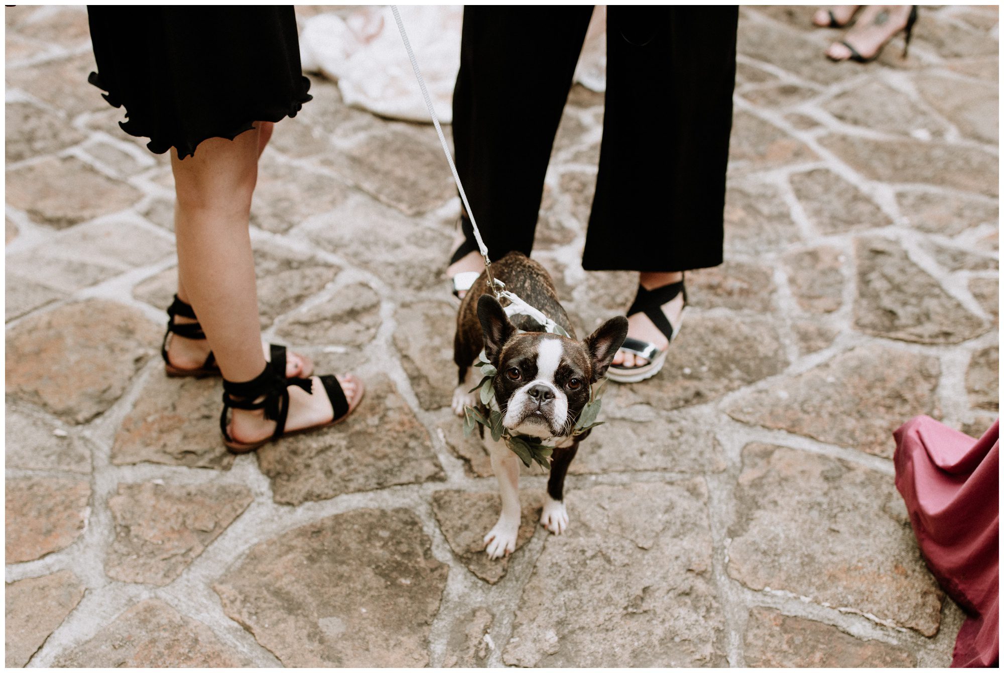 Historic Shady Lane Photographer-179.jpg