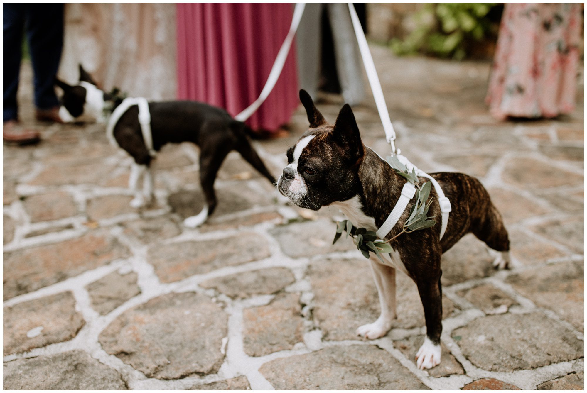 Historic Shady Lane Photographer-184.jpg