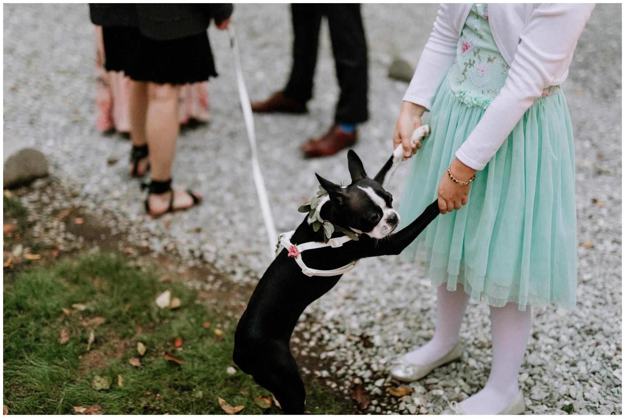 Historic Shady Lane Photographer-262.jpg