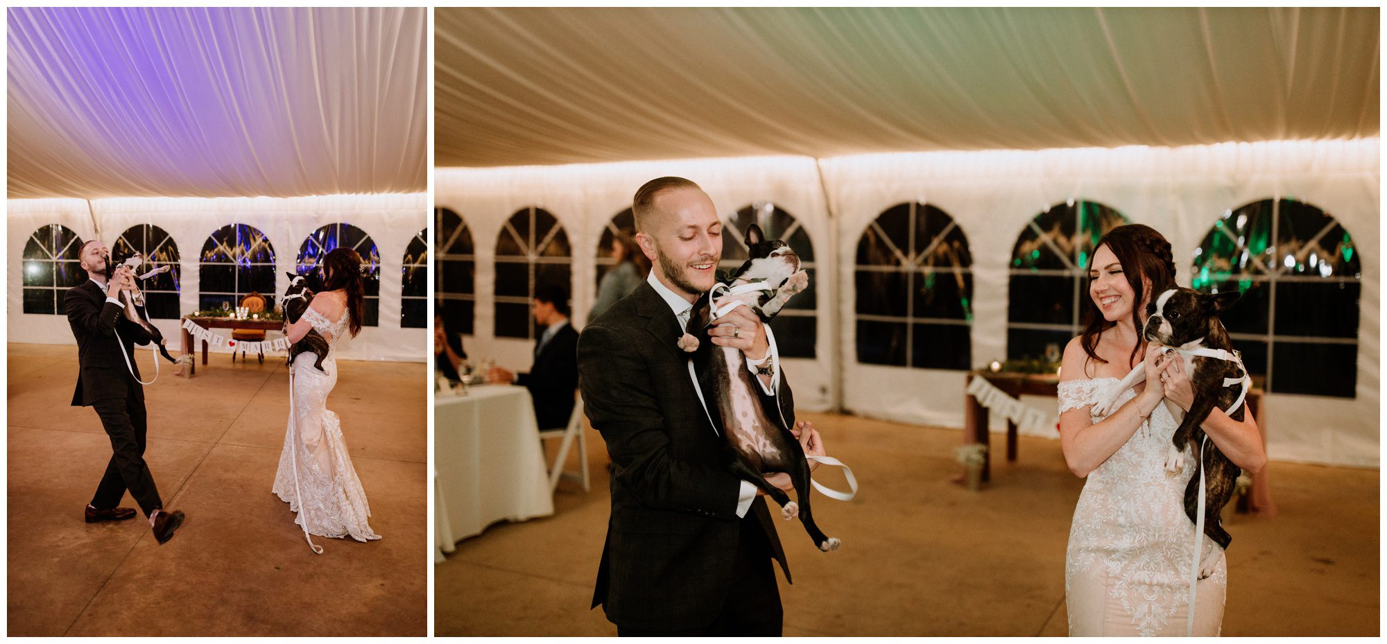 Historic Shady Lane Photographer-266.jpg