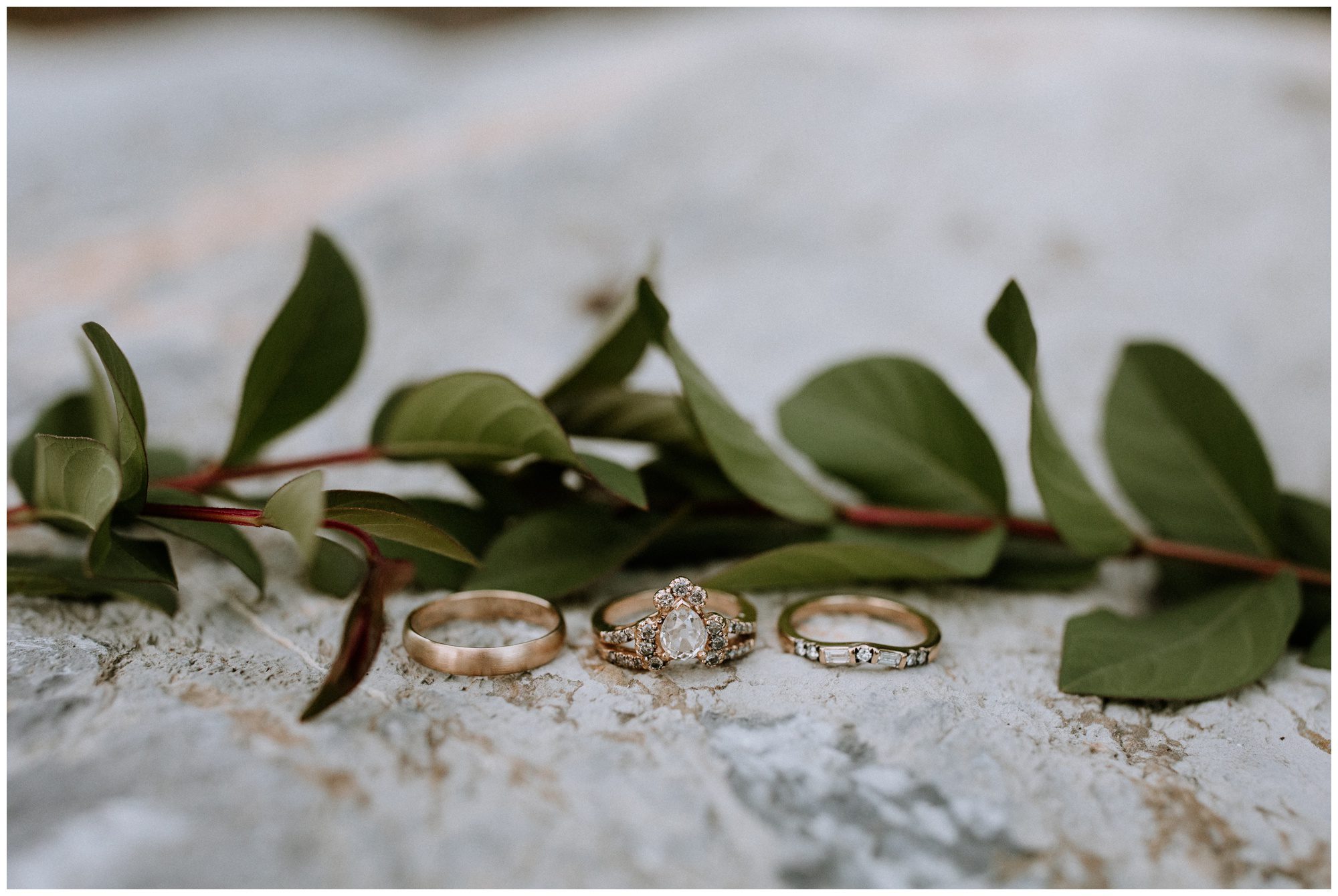 Carlisle PA Wedding Photographer, Linwood Estate Wedding Photographer, Pennsylvania Wedding Photographer, Carlisle Elopement Photographer