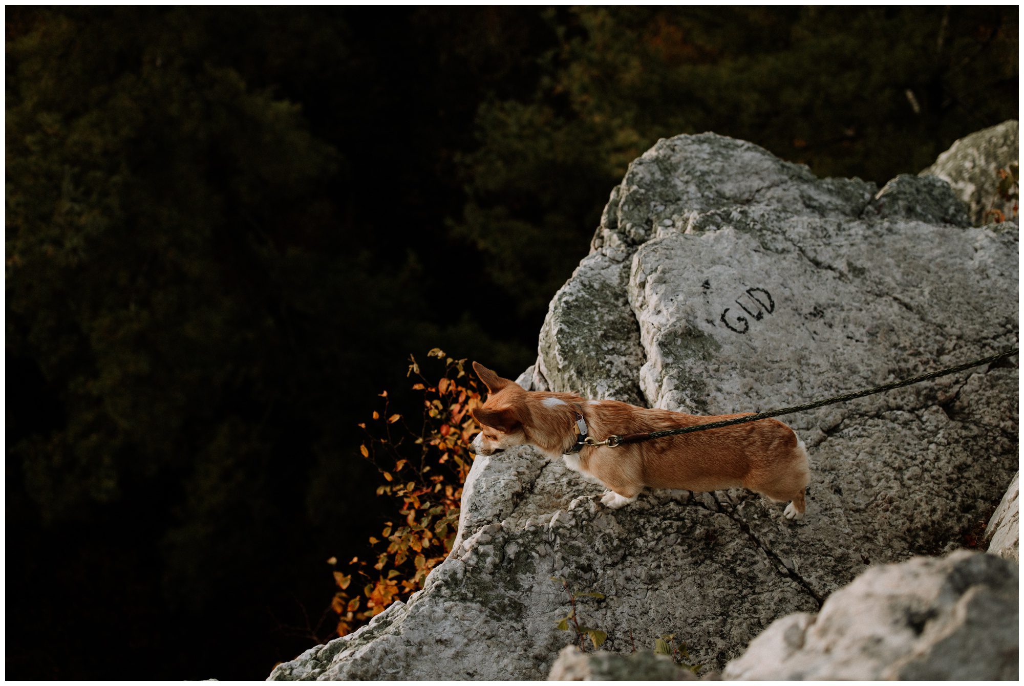 Pole Steeple Elopement Photographer, Pennsylvania Elopement Photographer, Pole Steeple Engagement Pole Steeple Engagement Photographer, Michaux State Forest Engagement, Gettysburg Elopement Photographer