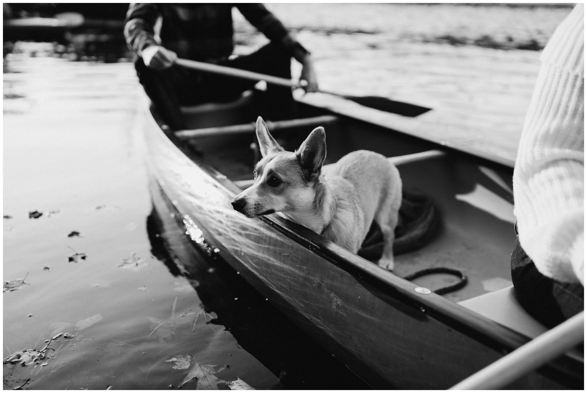 Pole Steeple Elopement Photographer, Pennsylvania Elopement Photographer, Pole Steeple Engagement Pole Steeple Engagement Photographer, Michaux State Forest Engagement, Gettysburg Elopement Photographer