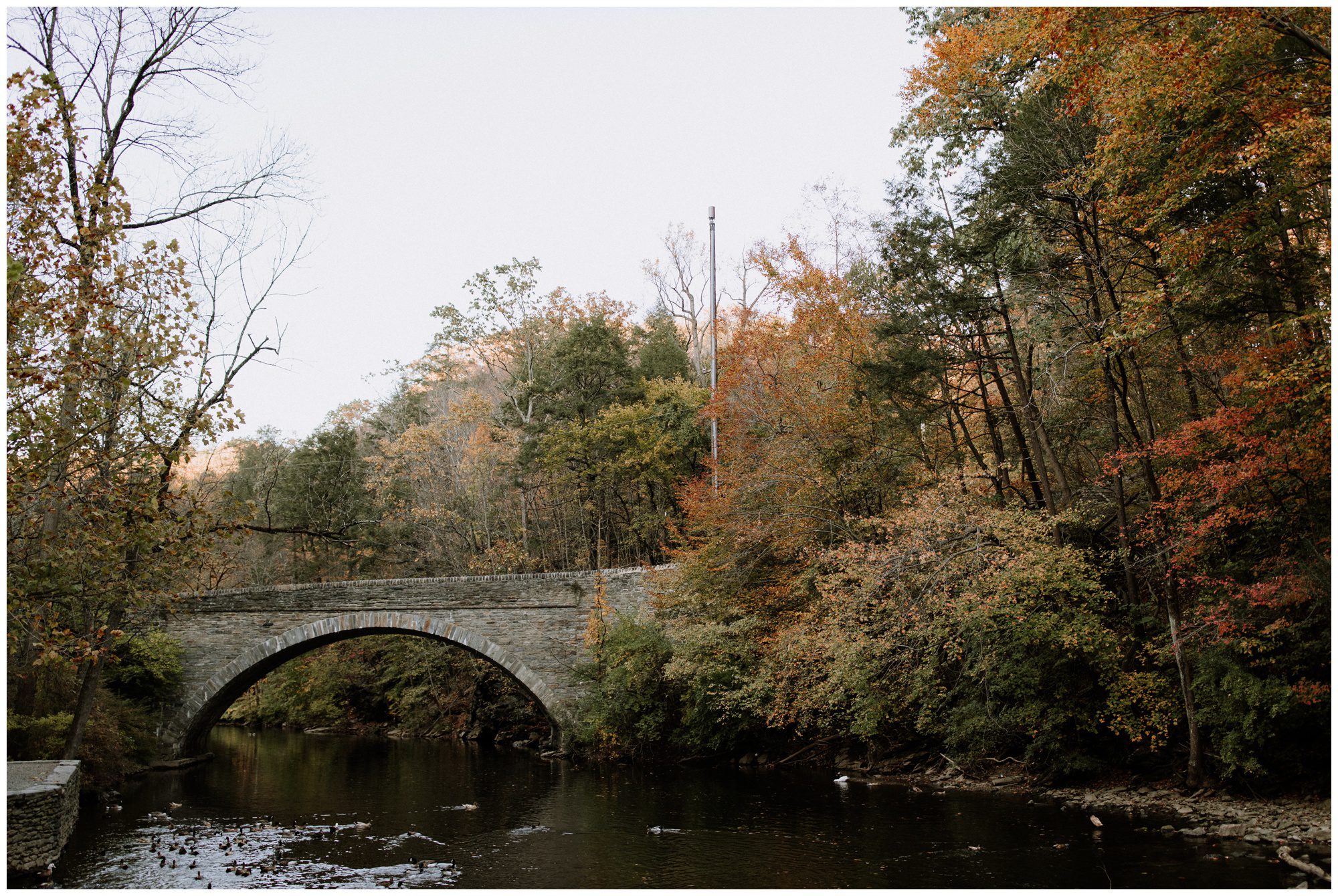 Wissahickon Valley Park Engagement, Philadelphia Elopement Photographer