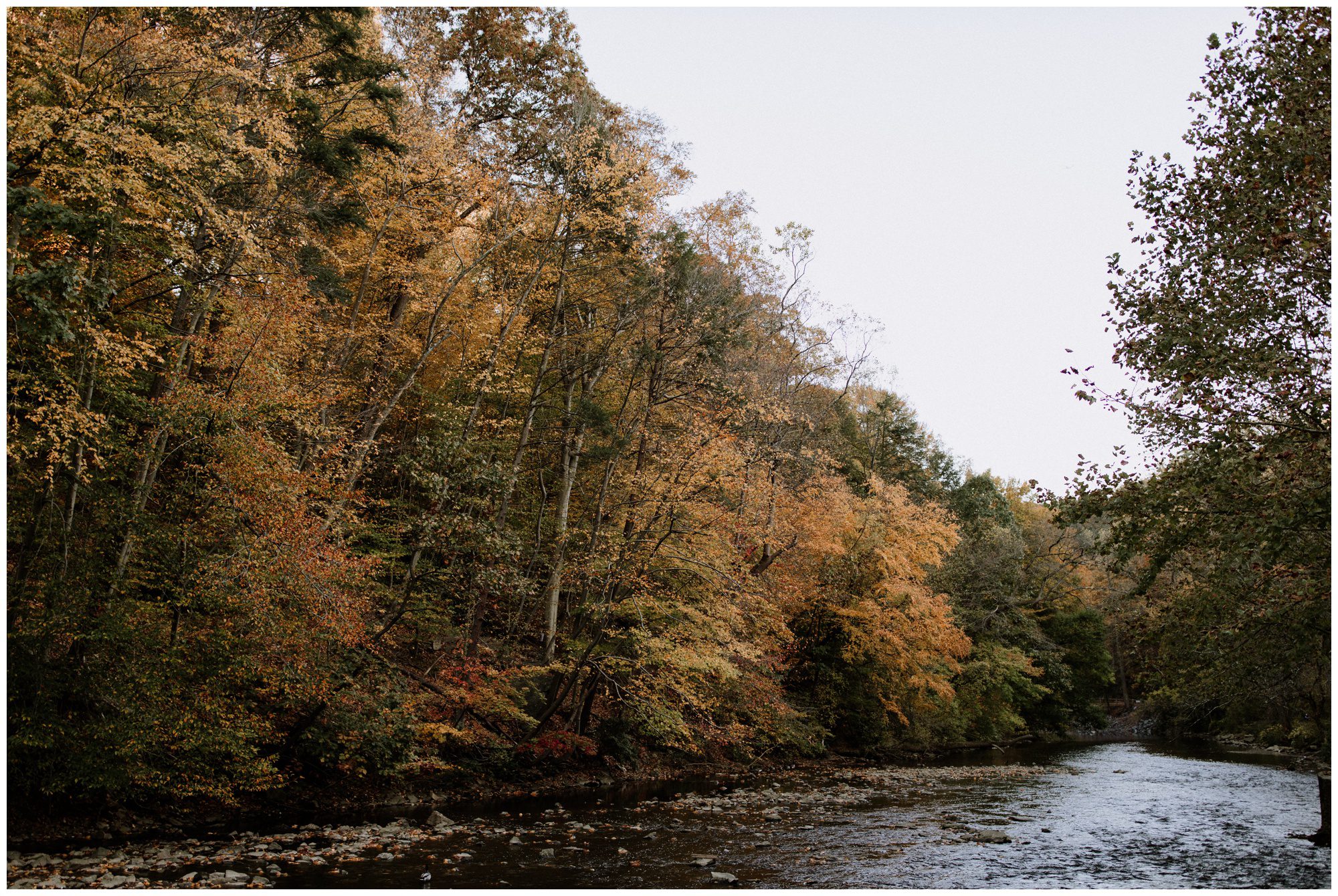 Wissahickon Valley Park Engagement, Philadelphia Elopement Photographer