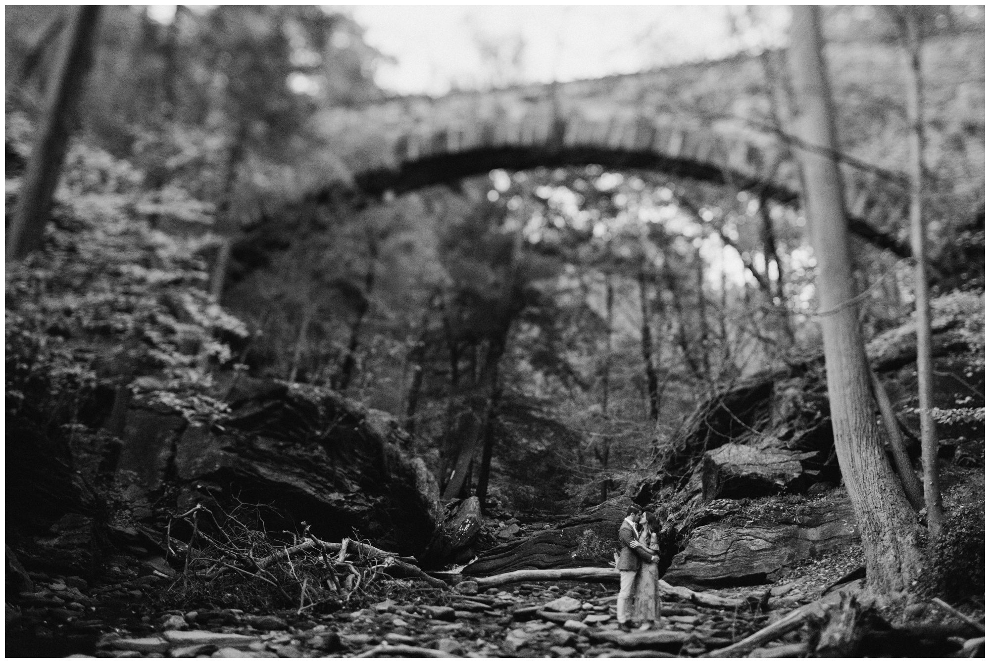 Wissahickon Valley Park Engagement, Philadelphia Elopement Photographer