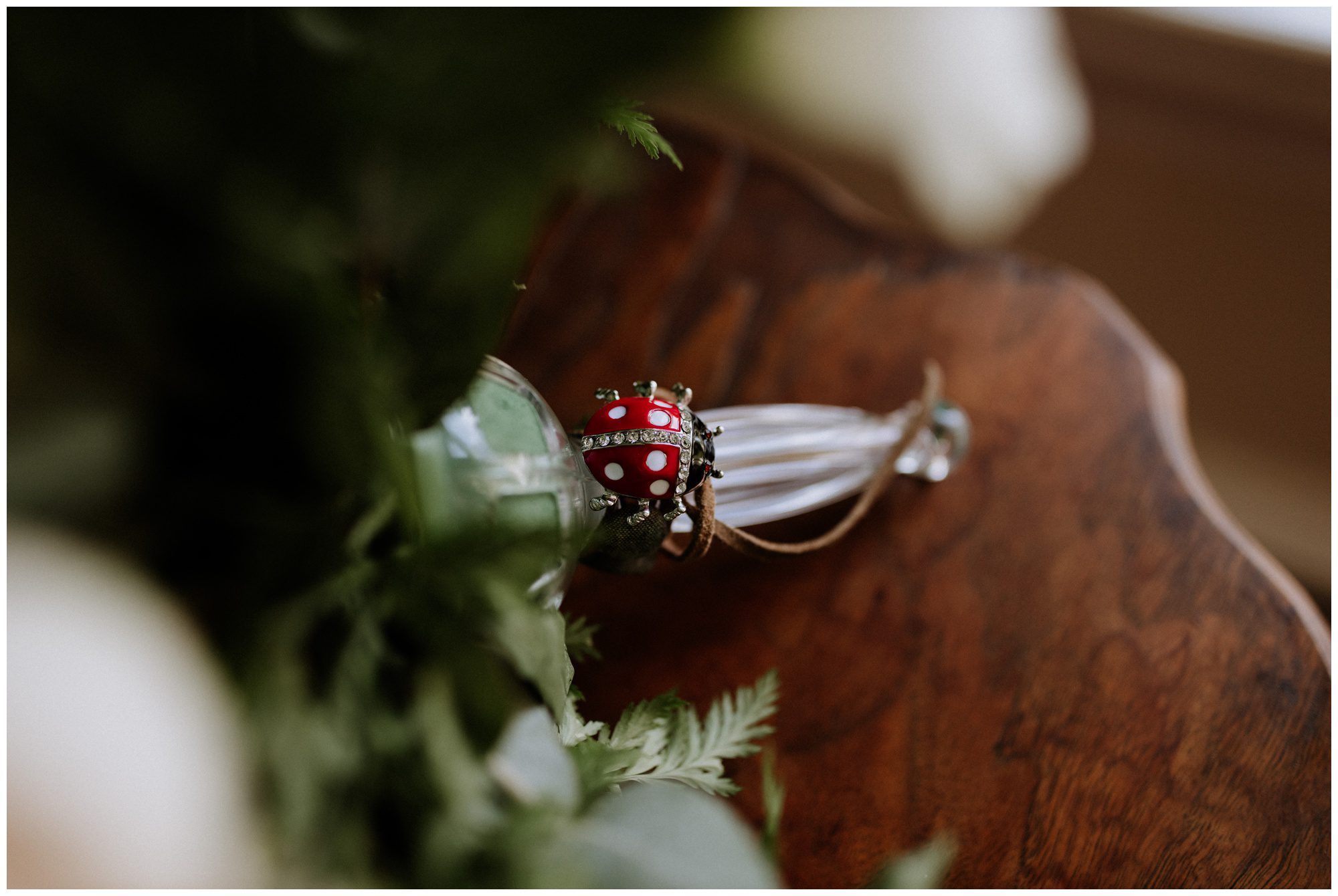 Historic Shady Lane Photographer, Historic Shady Lane Wedding, York Pennsylvania Wedding Photographer, PA Elopement Photographer