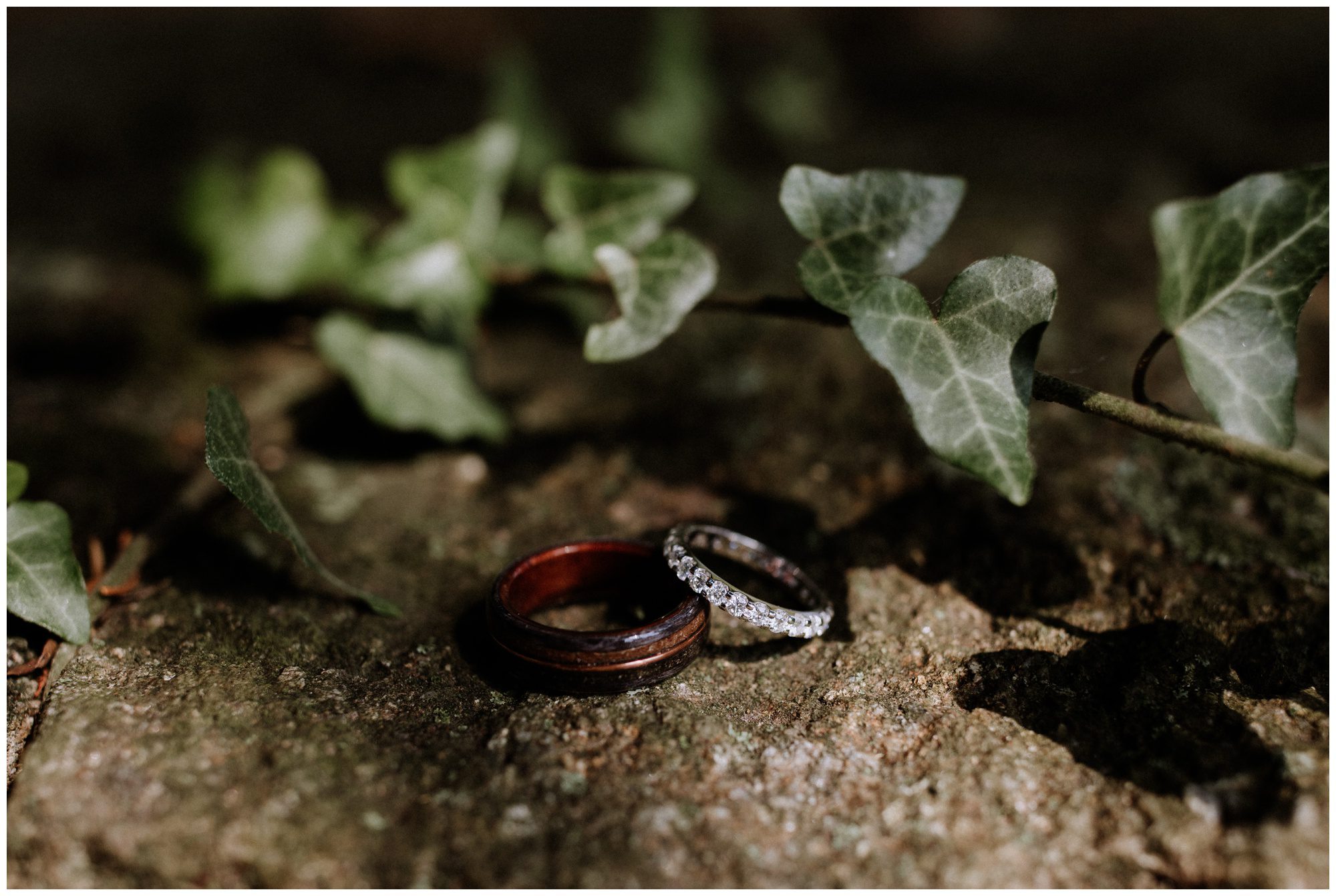 Historic Shady Lane Photographer, Historic Shady Lane Wedding, York Pennsylvania Wedding Photographer, PA Elopement Photographer