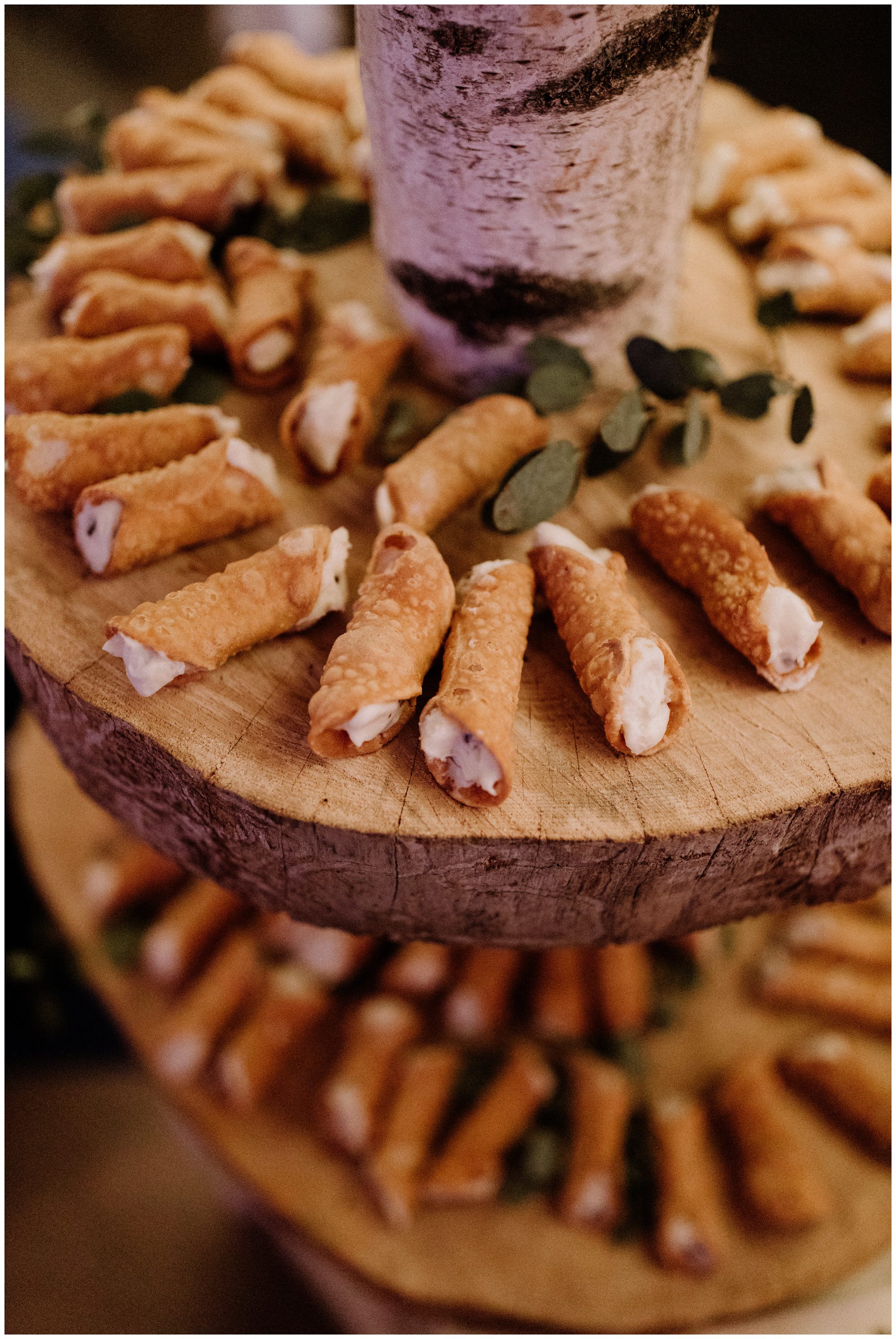 Historic Shady Lane Photographer, Historic Shady Lane Wedding, York Pennsylvania Wedding Photographer, PA Elopement Photographer