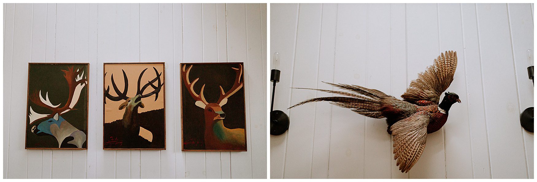 Catskill Mountains Engagement Photographer-111.jpg