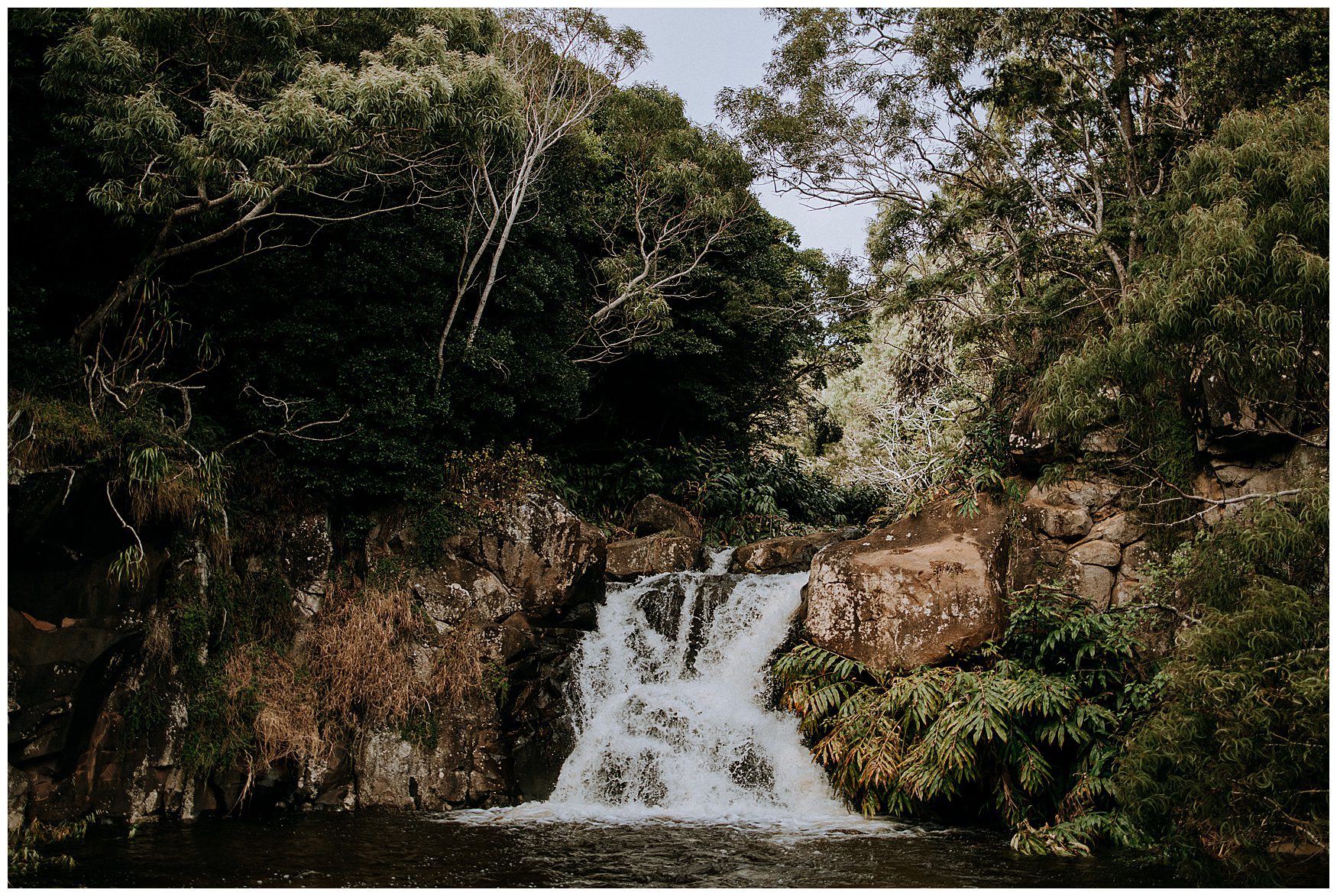 kauai elopement photographer