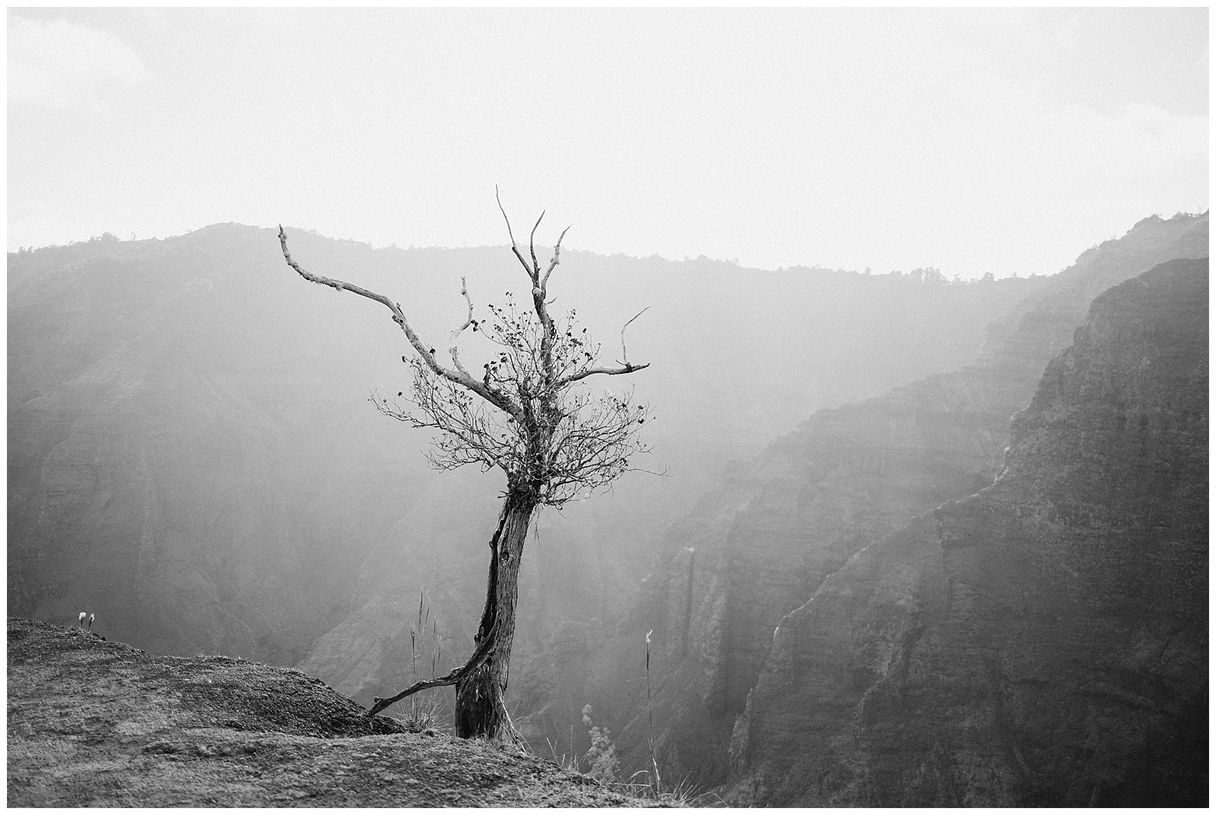 kauai elopement photographer