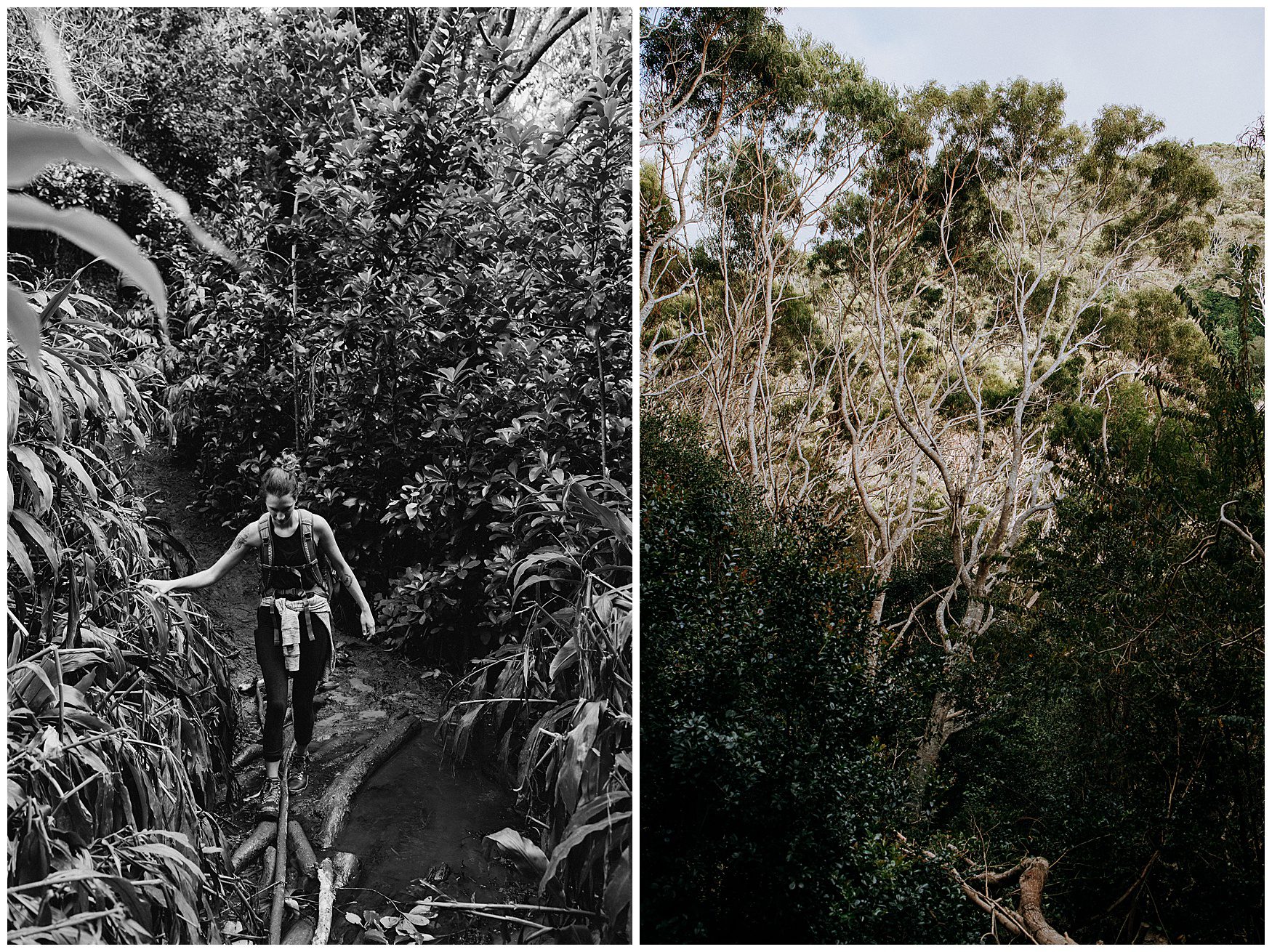 kauai elopement photographer