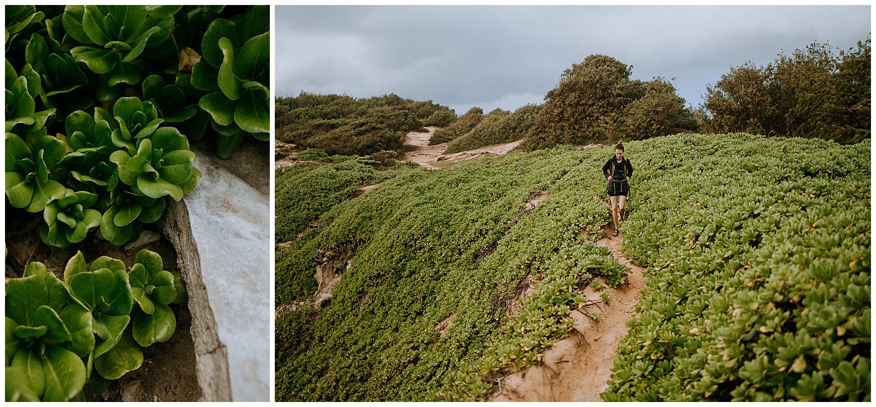 kauai elopement photographer