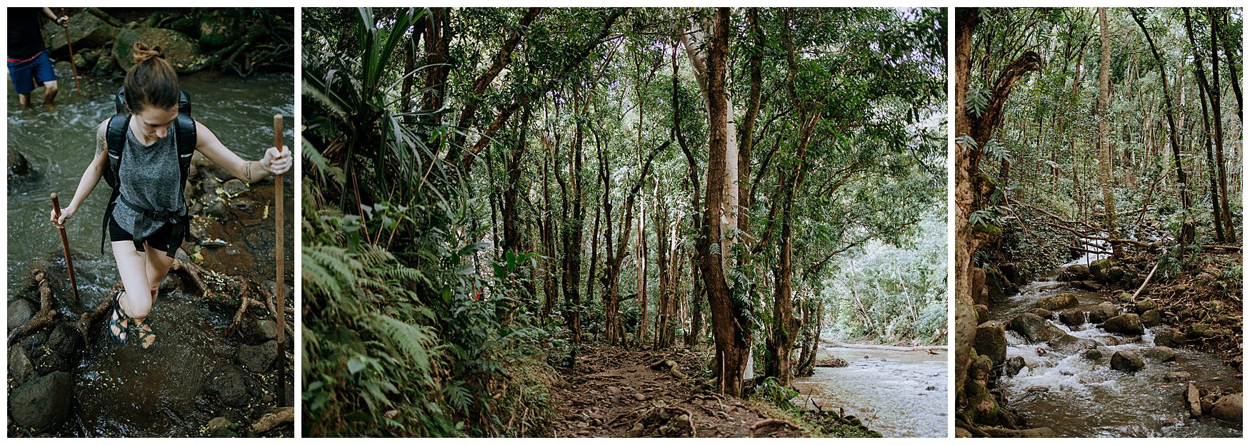 kauai elopement photographer