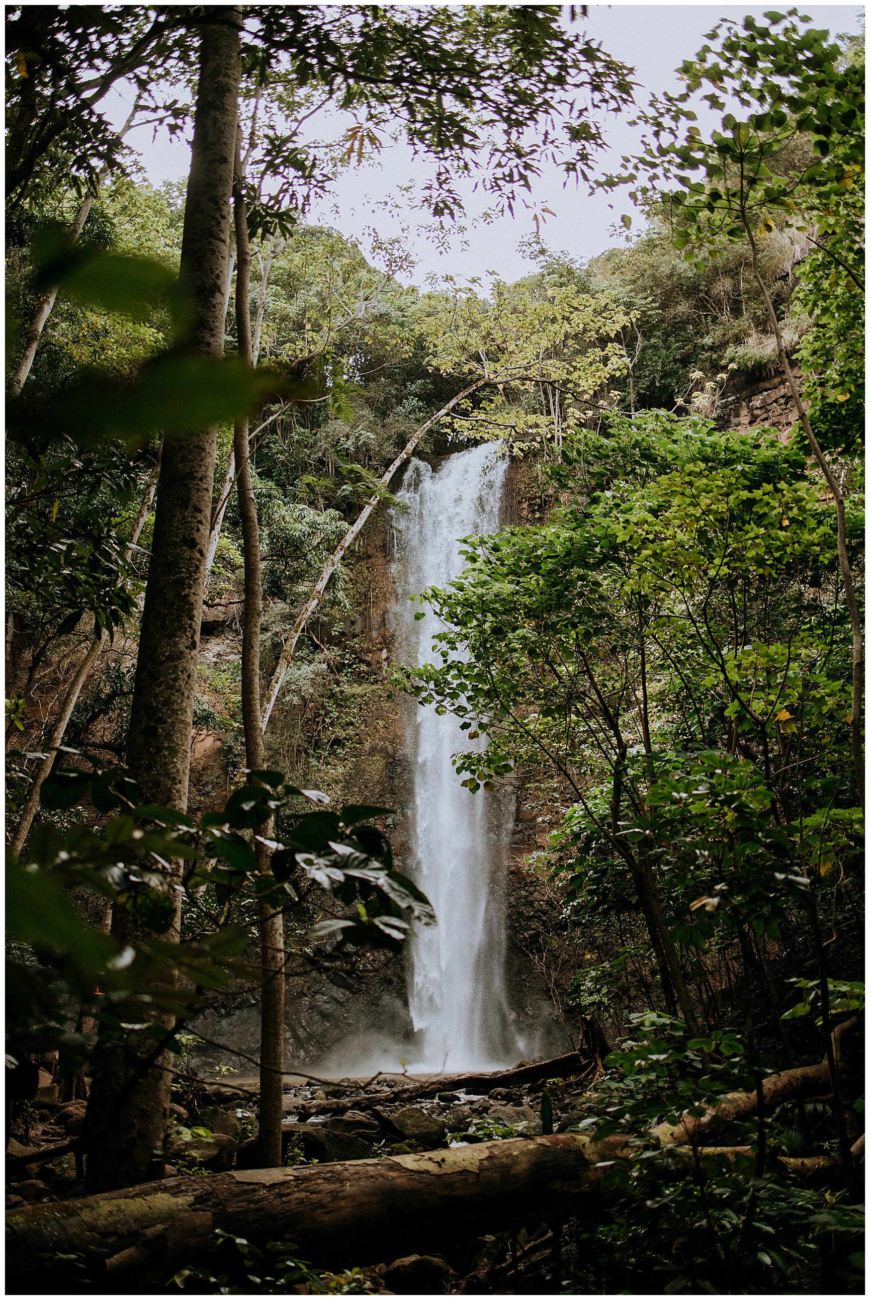 kauai elopement photographer