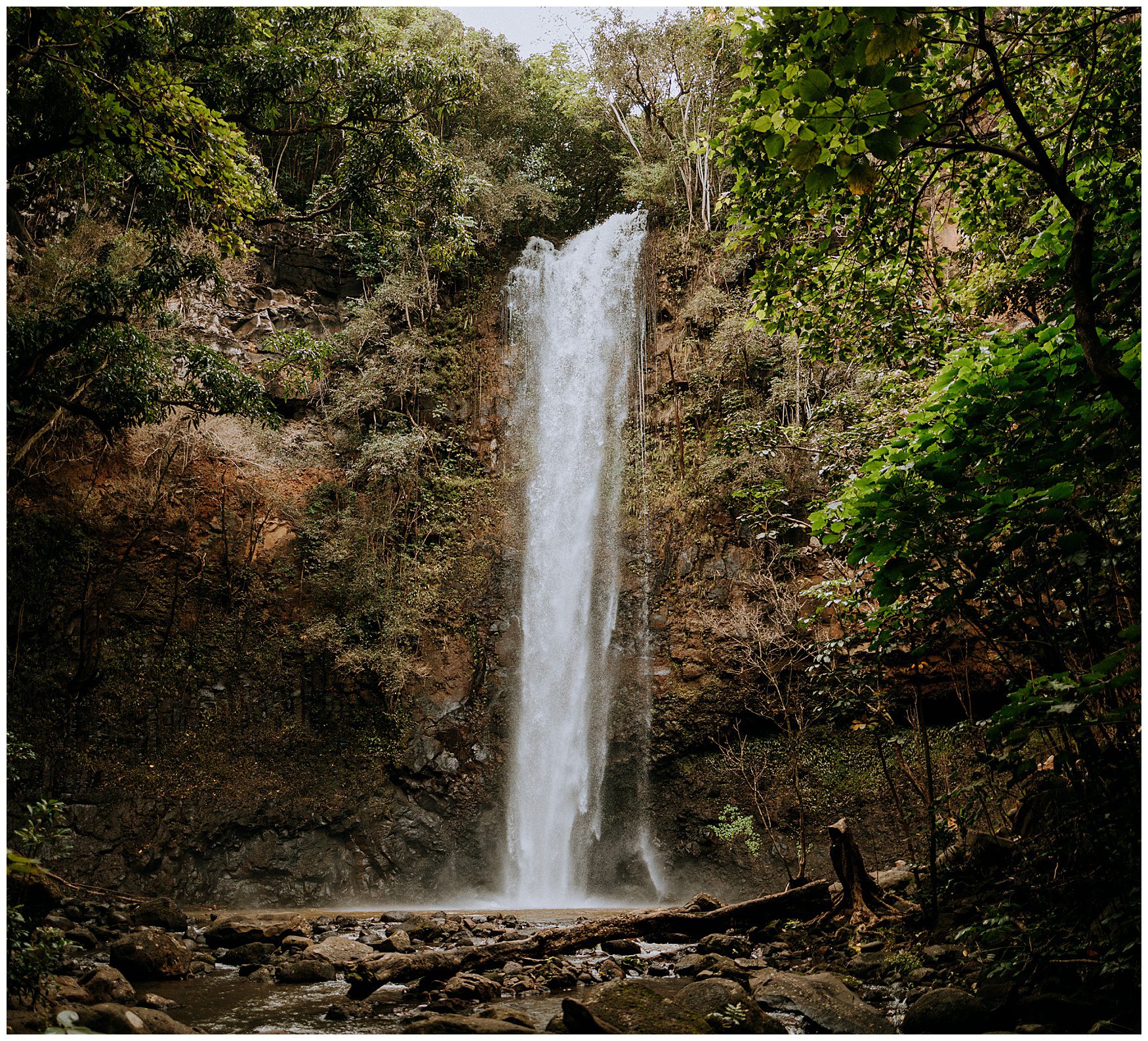kauai elopement photographer