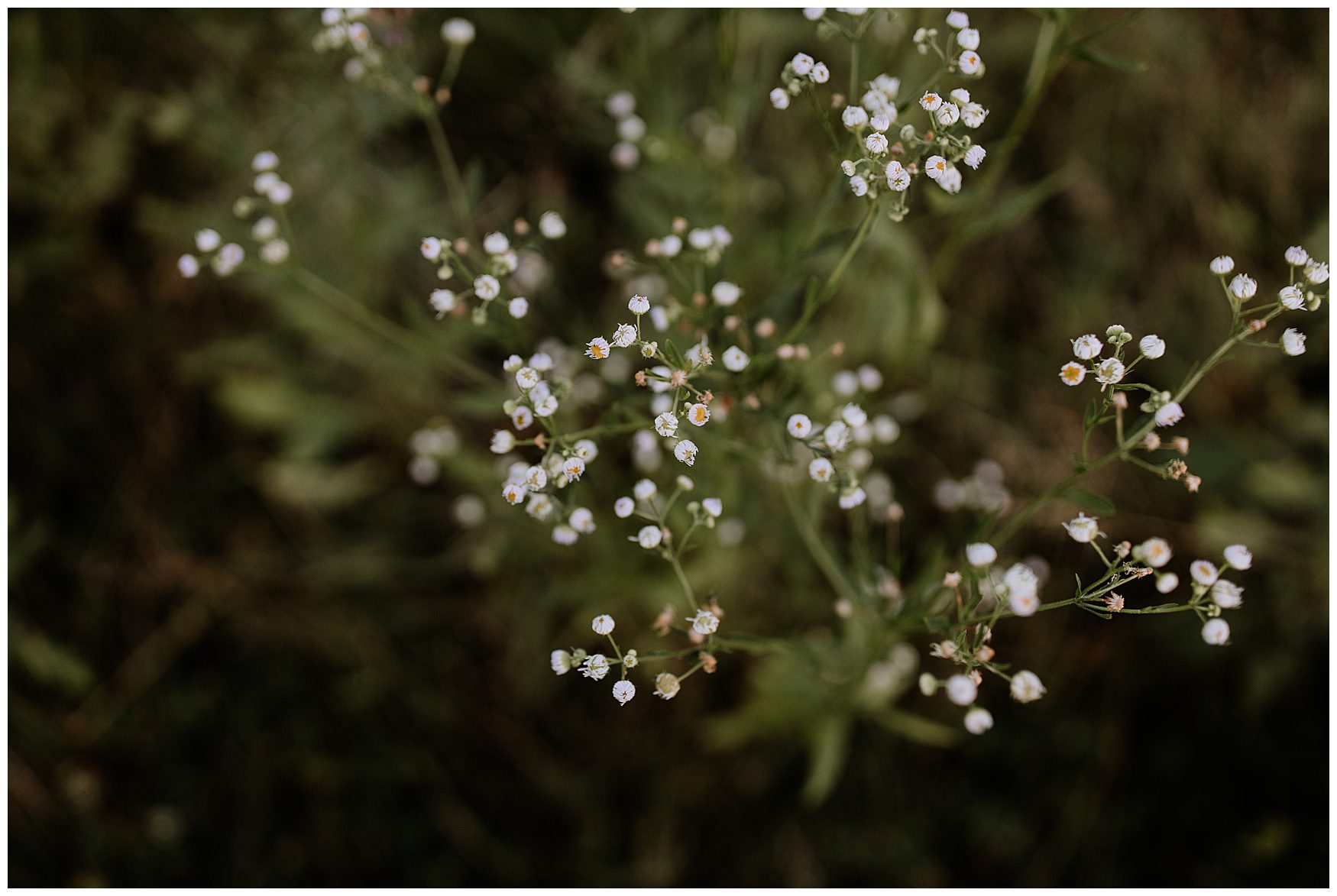 Historic Round Barn Photographer Gettysburg Gettysburg Elopement Photographer