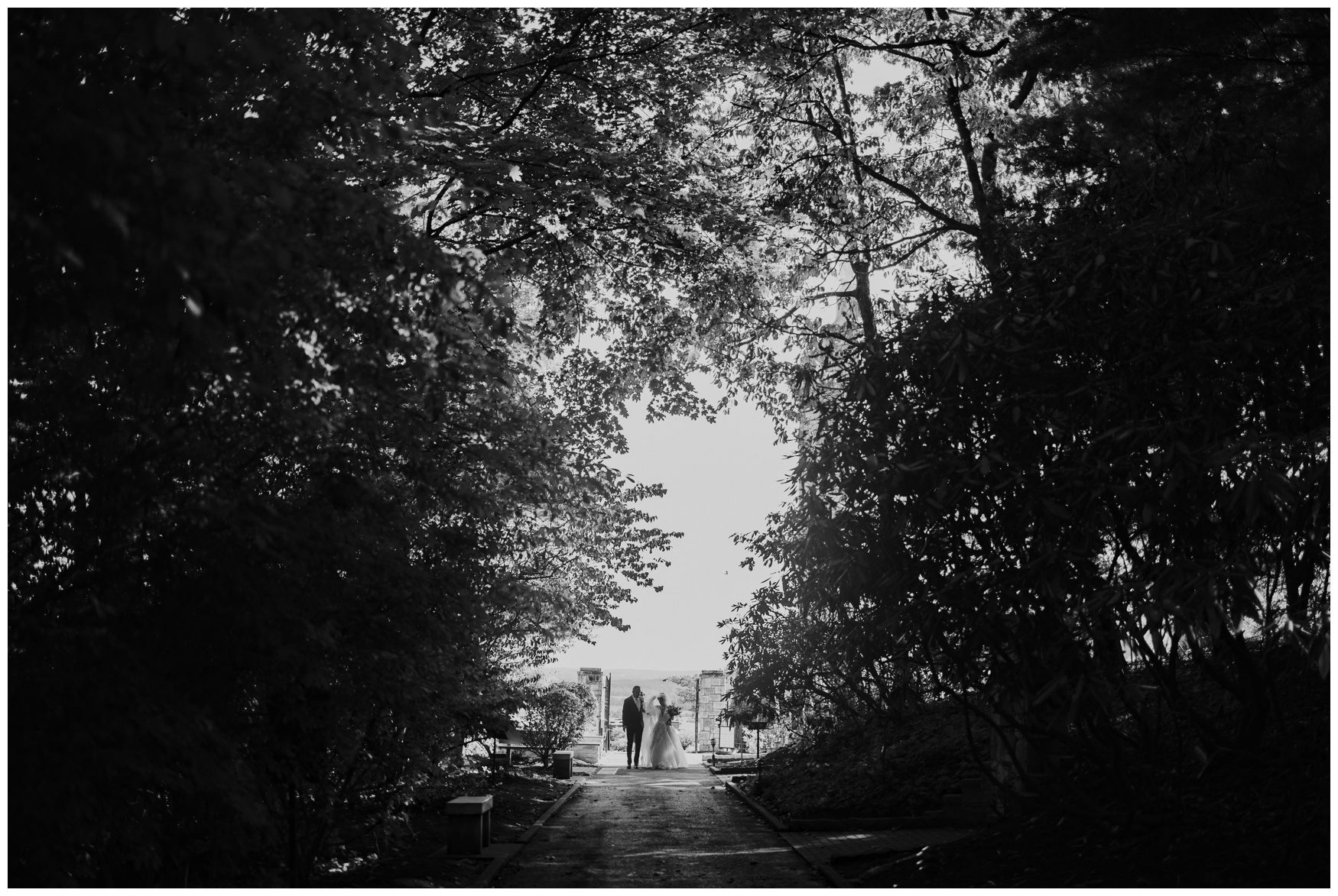 Maryland Elopement Photographer