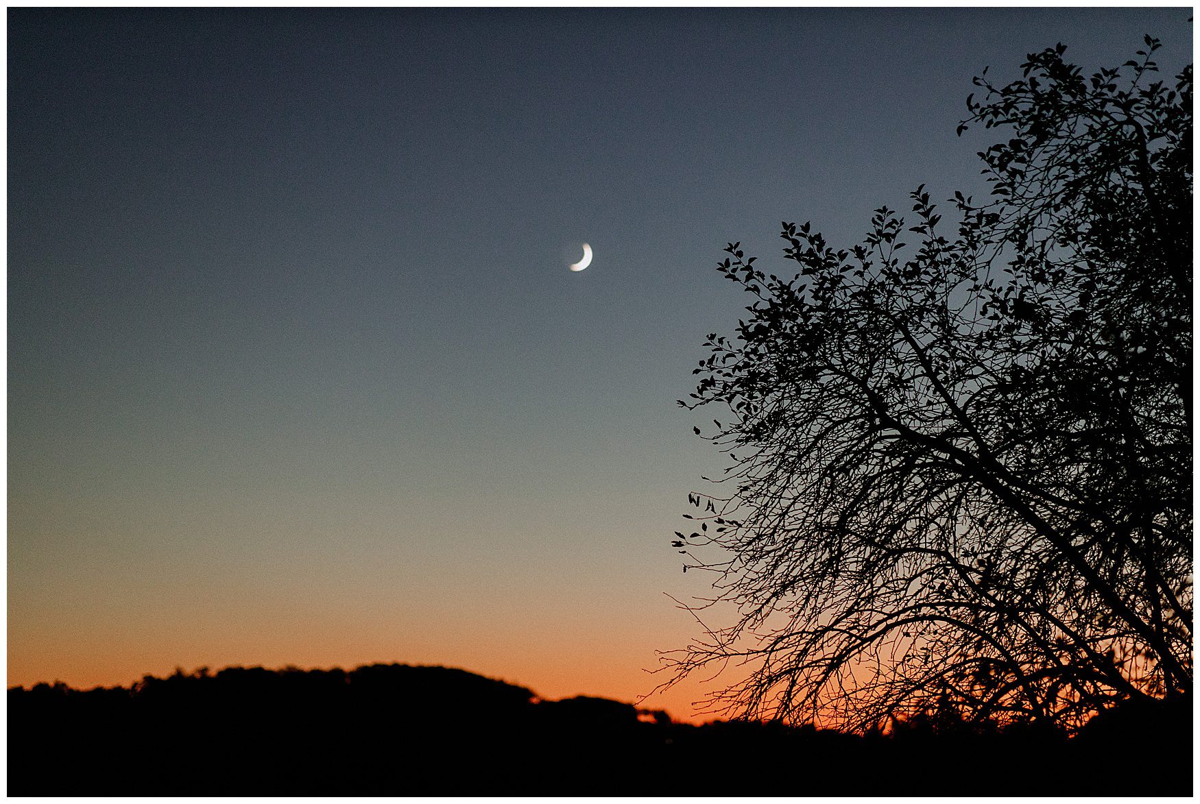 Lauxmont Farm Wedding Lancaster-292.jpg Lauxmont Farm Wedding Lancaster-292.jpg
