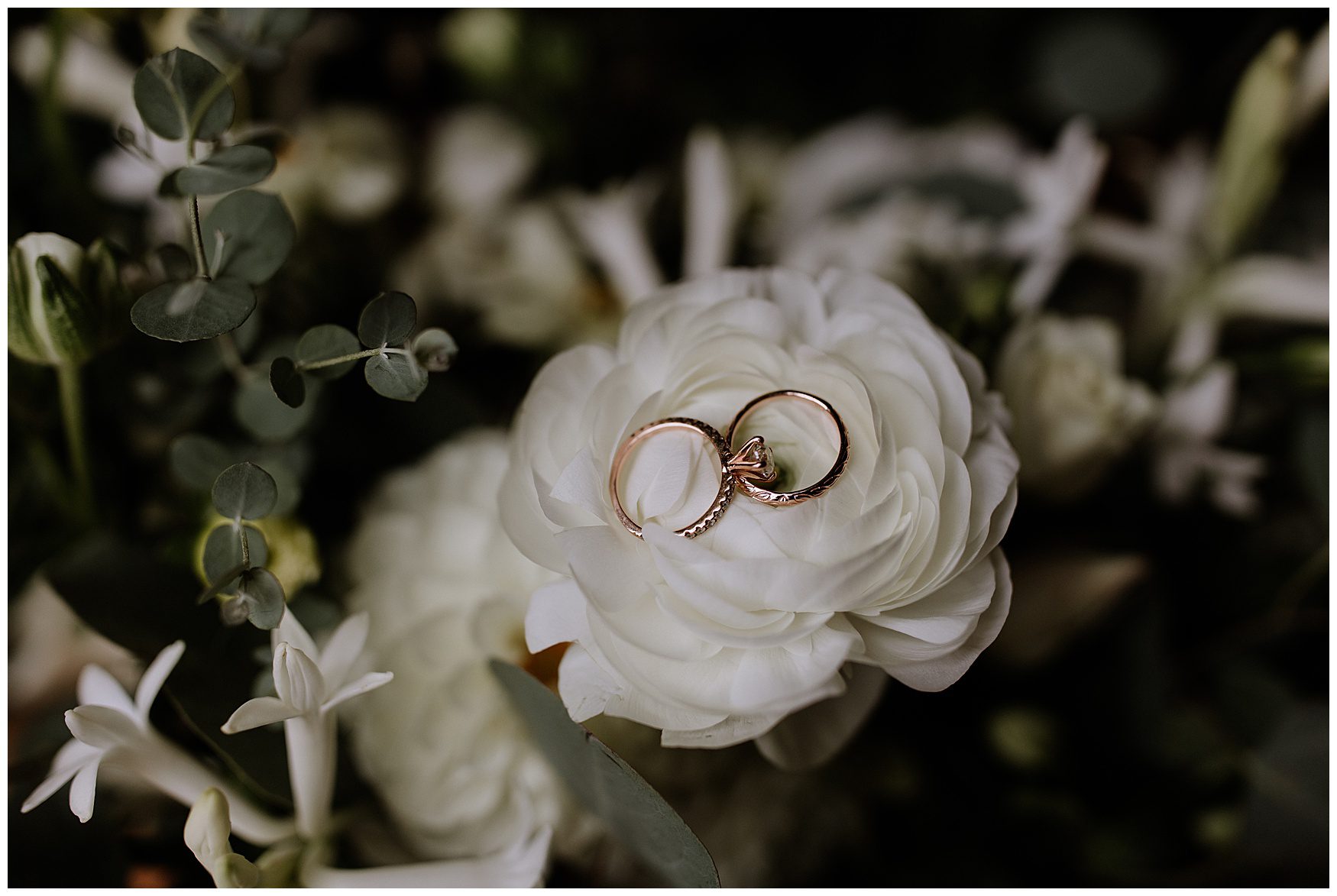 Maryland Elopement Photographer