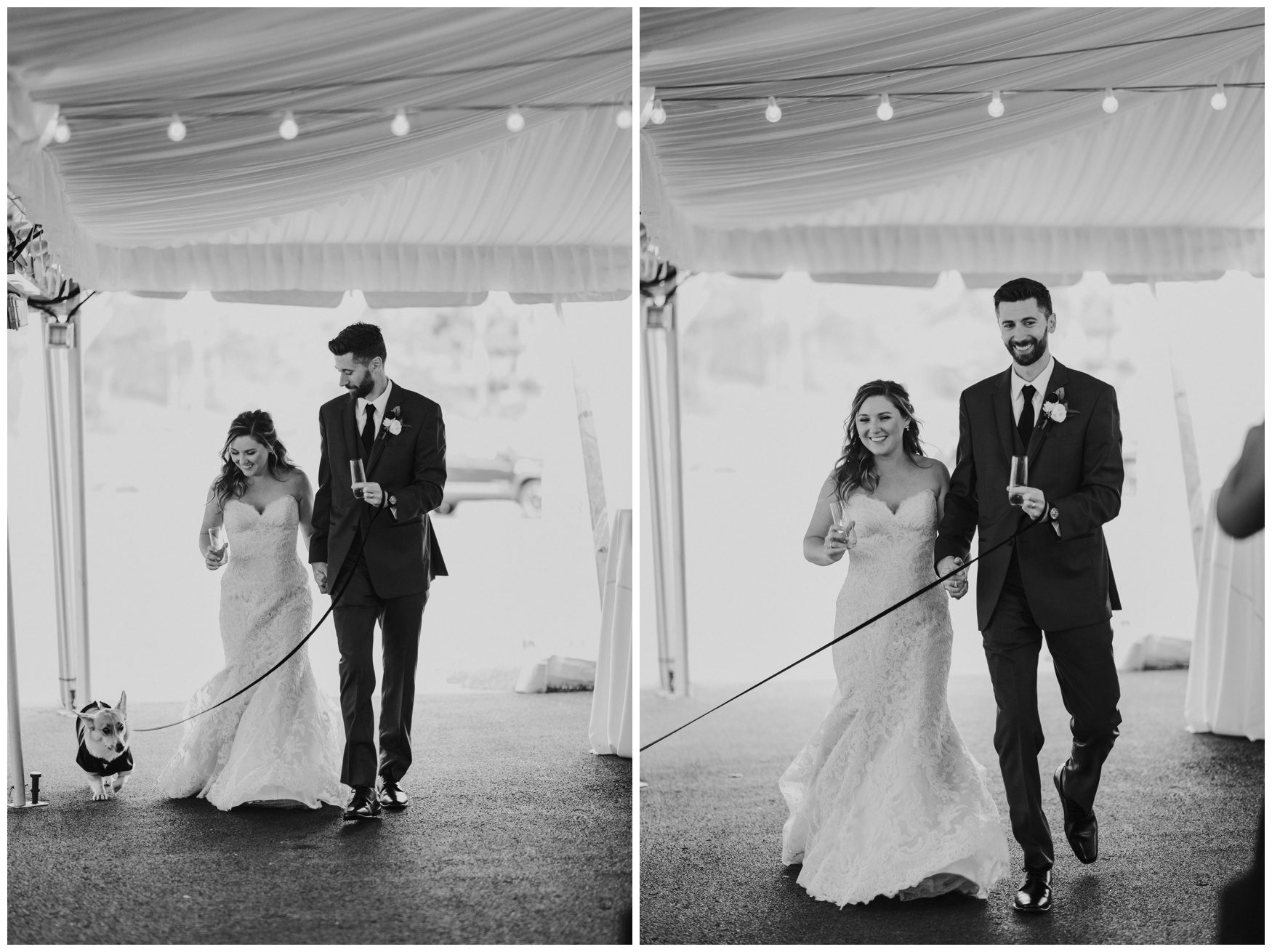 Allenberry Resort Wedding Photographer-247.jpg