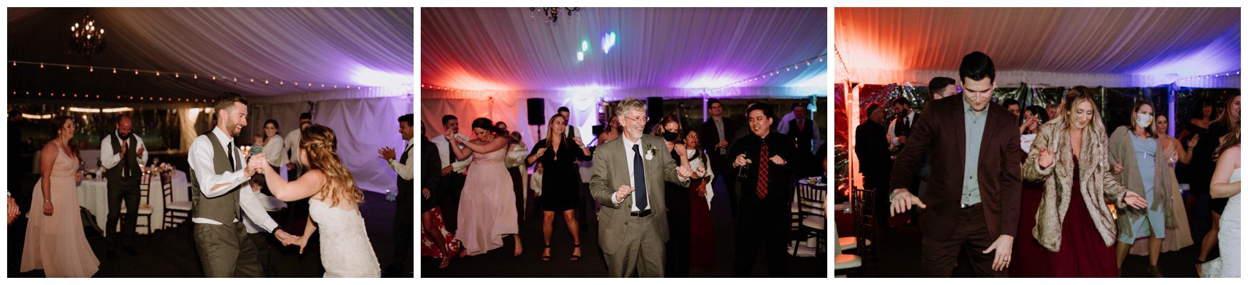 Allenberry Resort Wedding Photographer-295.jpg