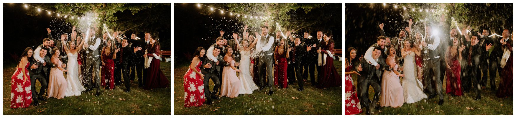 Allenberry Resort Wedding Photographer-315.jpg